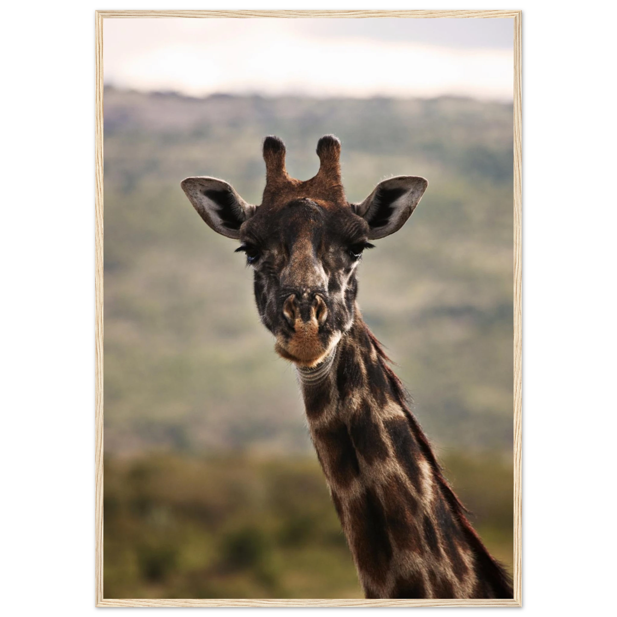 20056943-c7ca-4fc2-bb87-2c70ccdd2c88