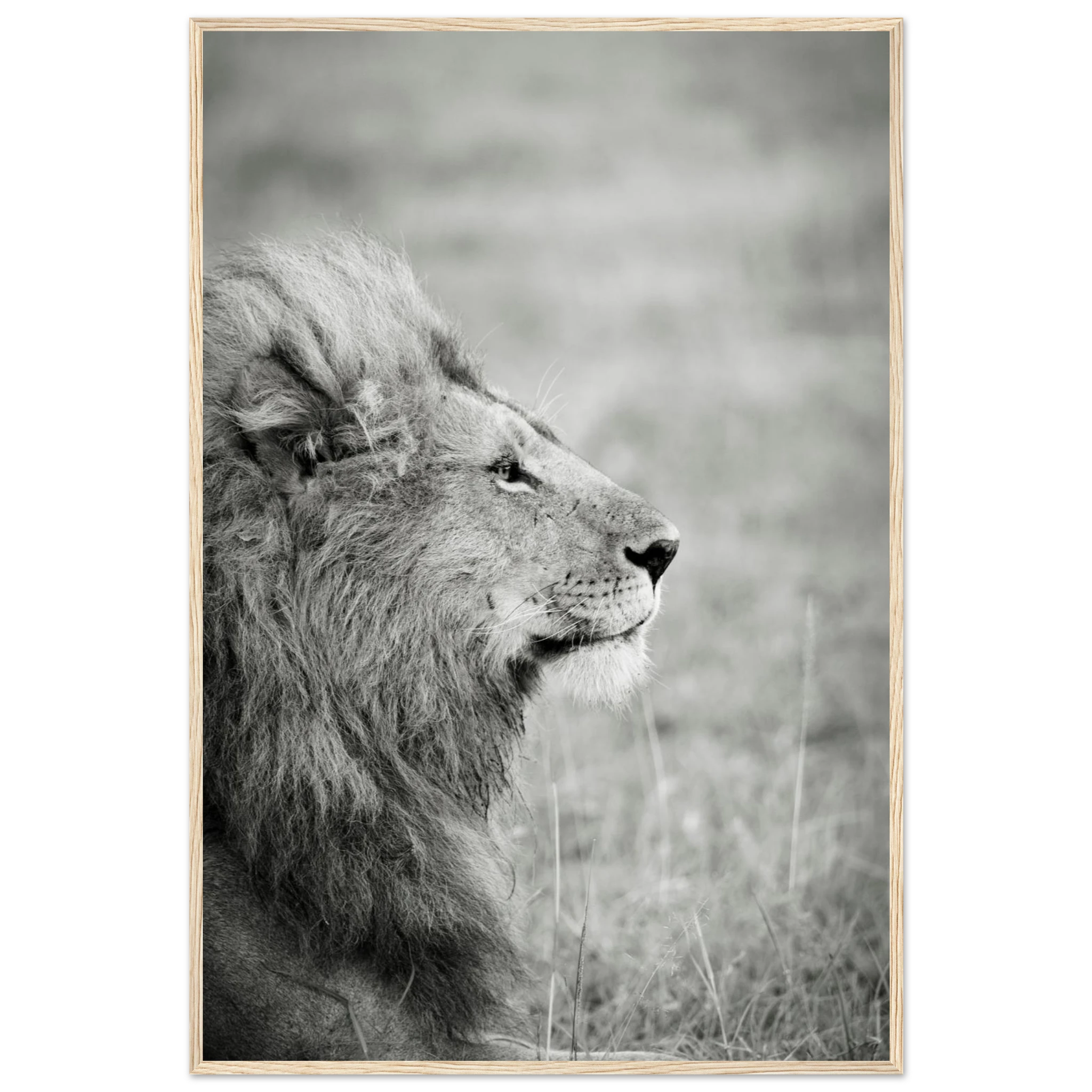 2006f763-8b2e-406a-9142-e2f7e460c925