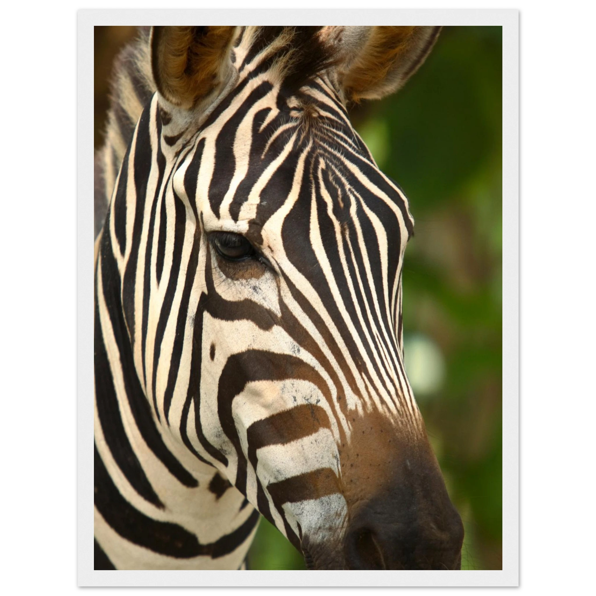 202c86fa-388b-44a5-a6e5-c6d739ea889e