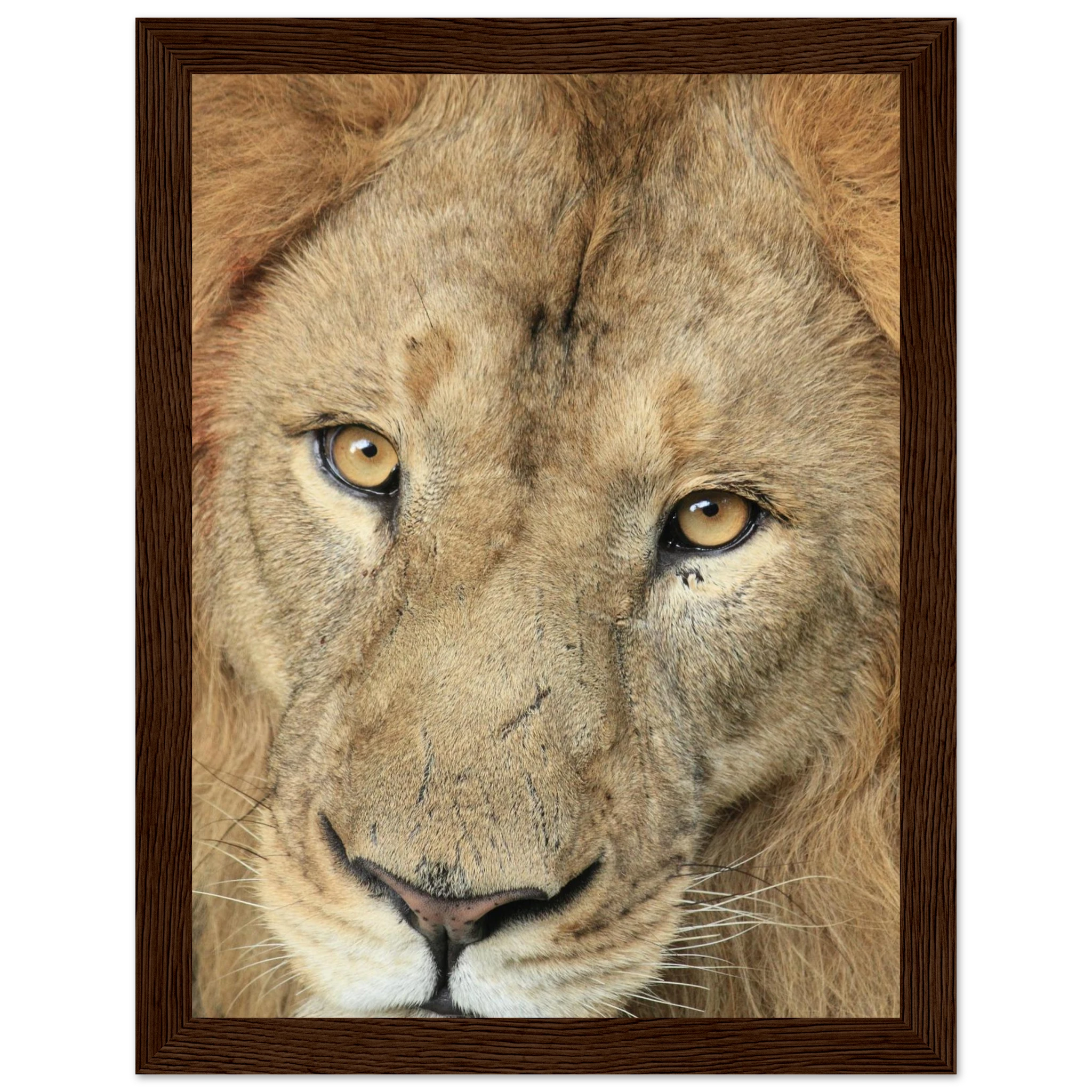 206a4e20-abaf-4d37-92c0-4dc3592d166c