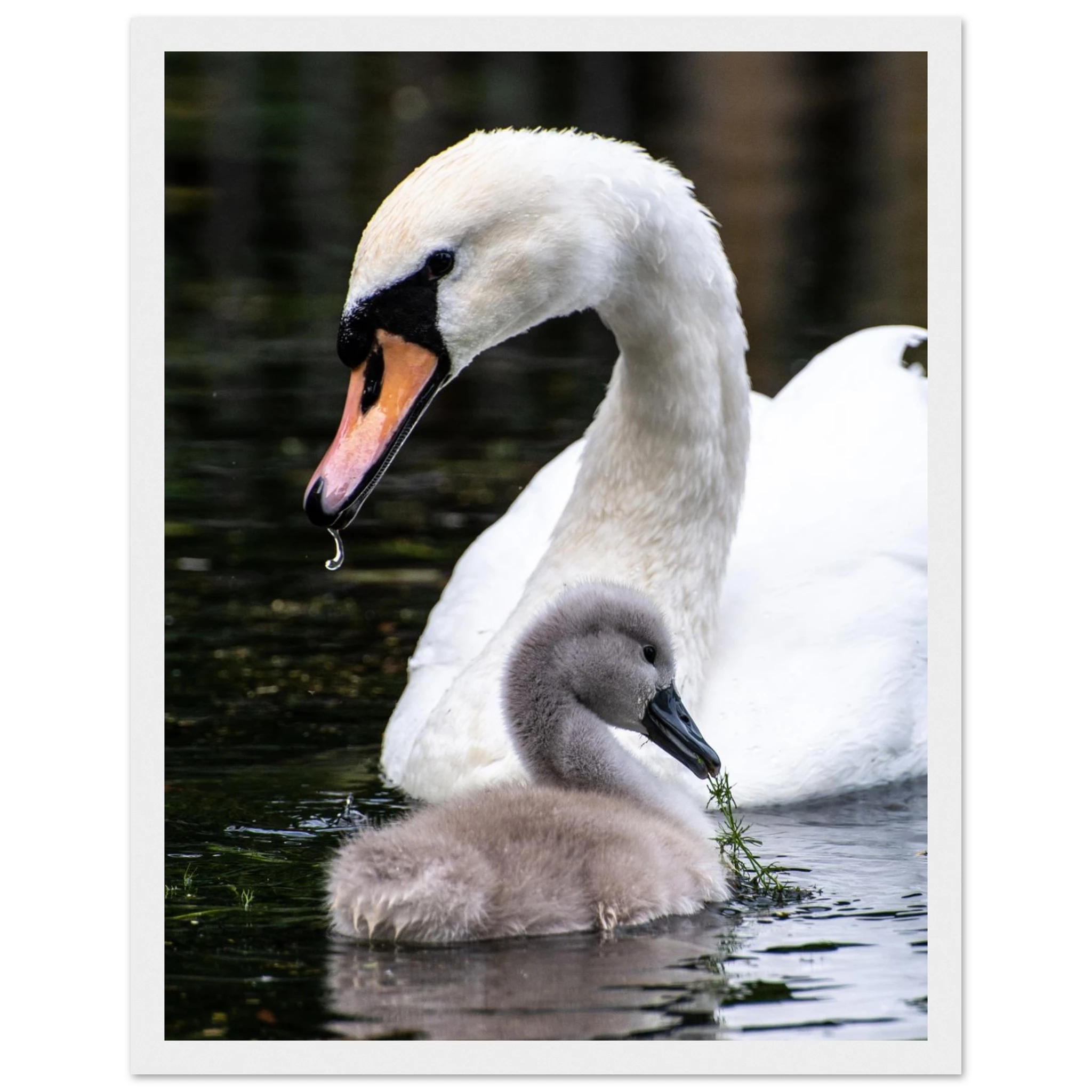 20c00416-8388-4cd0-88f9-7126dd5fa4c0