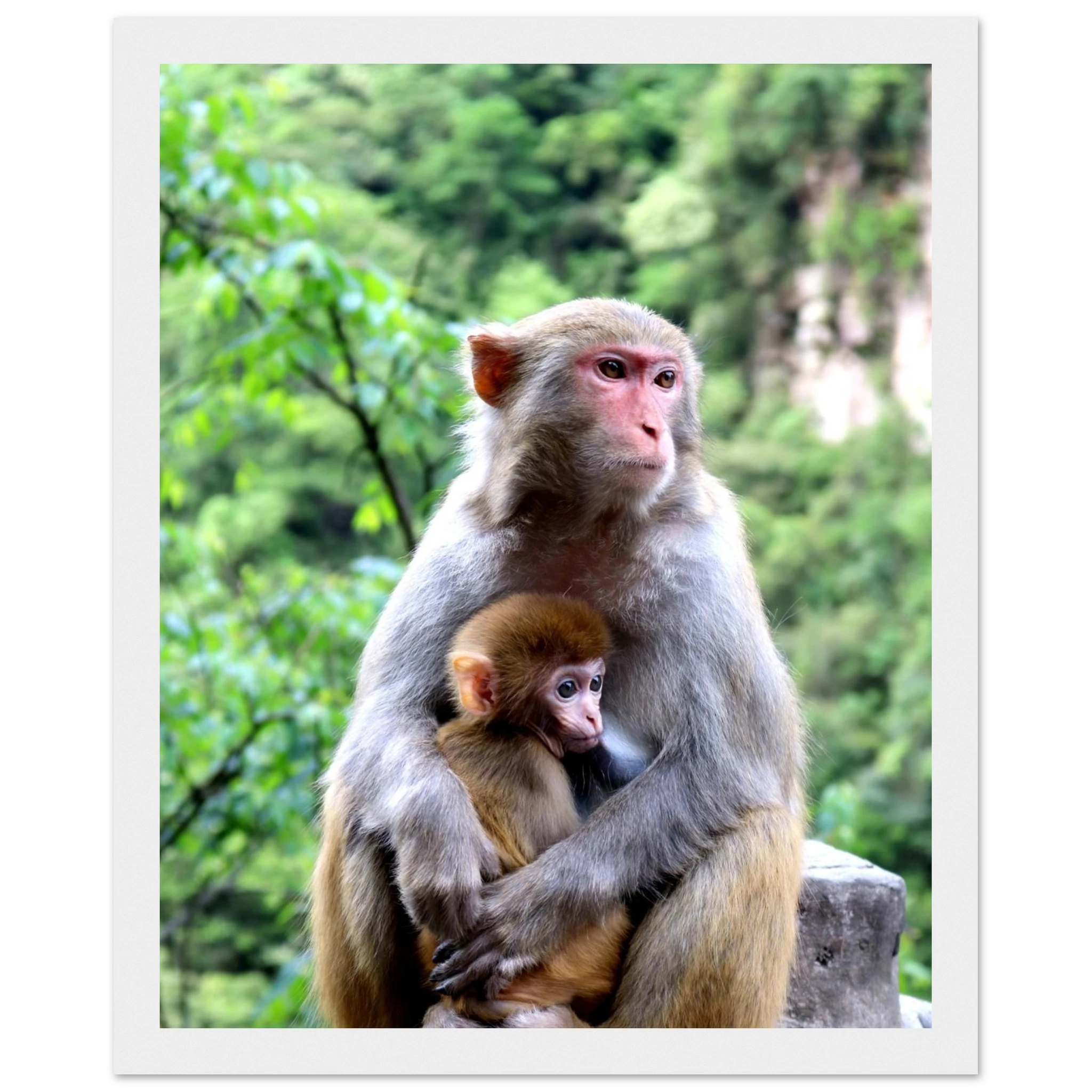 211607d6-4837-4b1b-ba13-f1ba8905f926