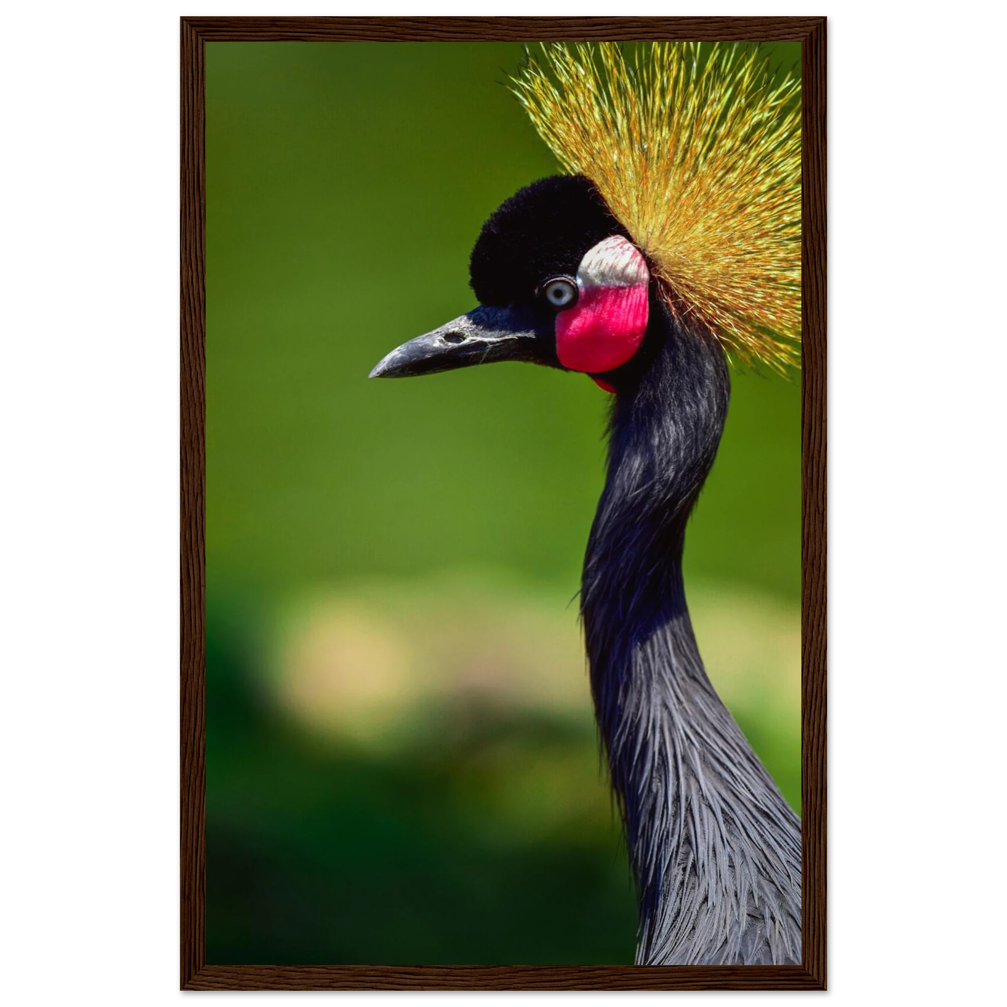 212cfad1-8e7a-45a3-b06b-c74305fa9ca8