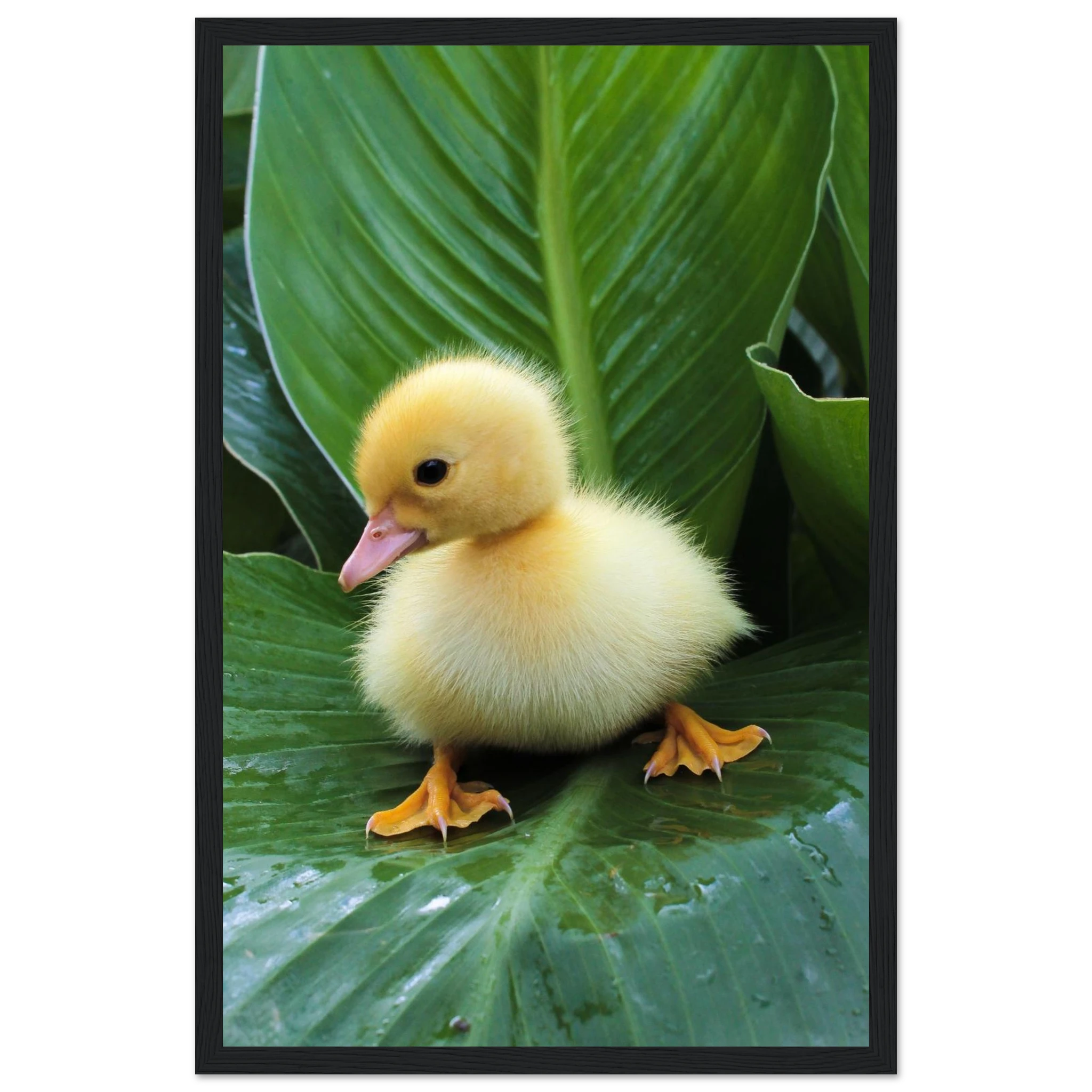 216eba6f-4074-4b76-bae9-d0ad27432af5