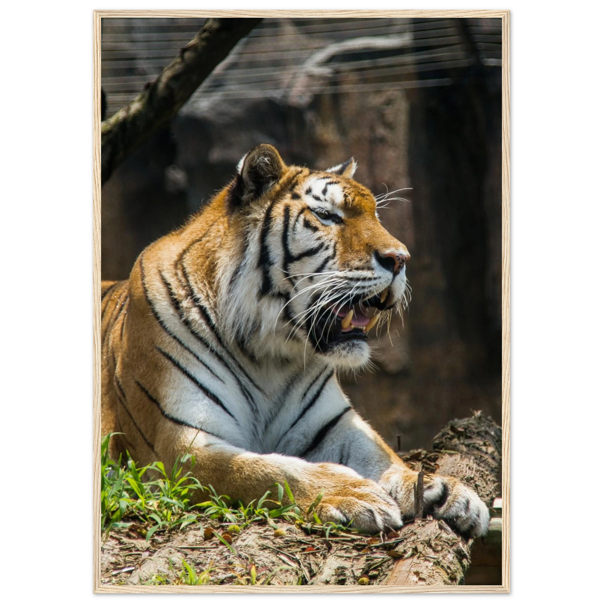 217c661f-5994-45a6-934a-bac9c86e9d43