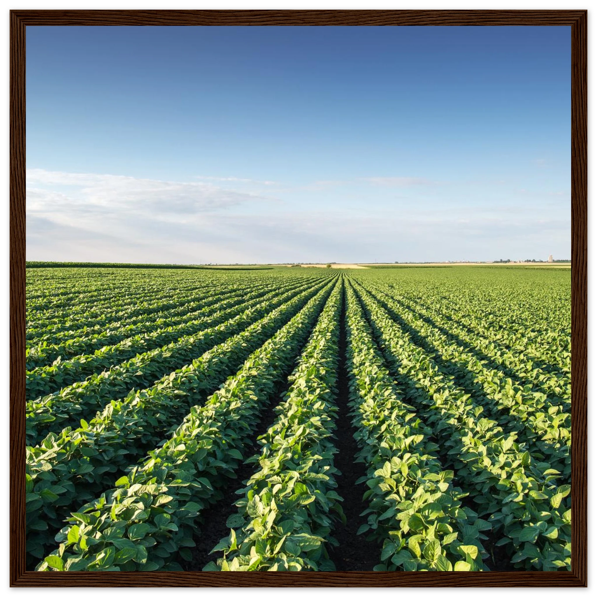 21857ea5-251e-4e88-a72a-fa4db83d0e69