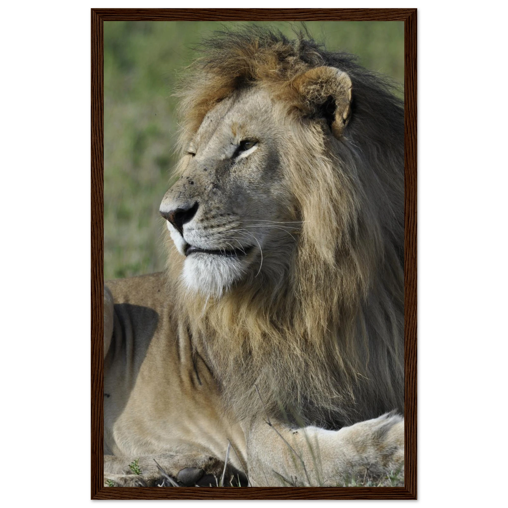 219389fc-c997-4692-976b-d5adeeb641c6