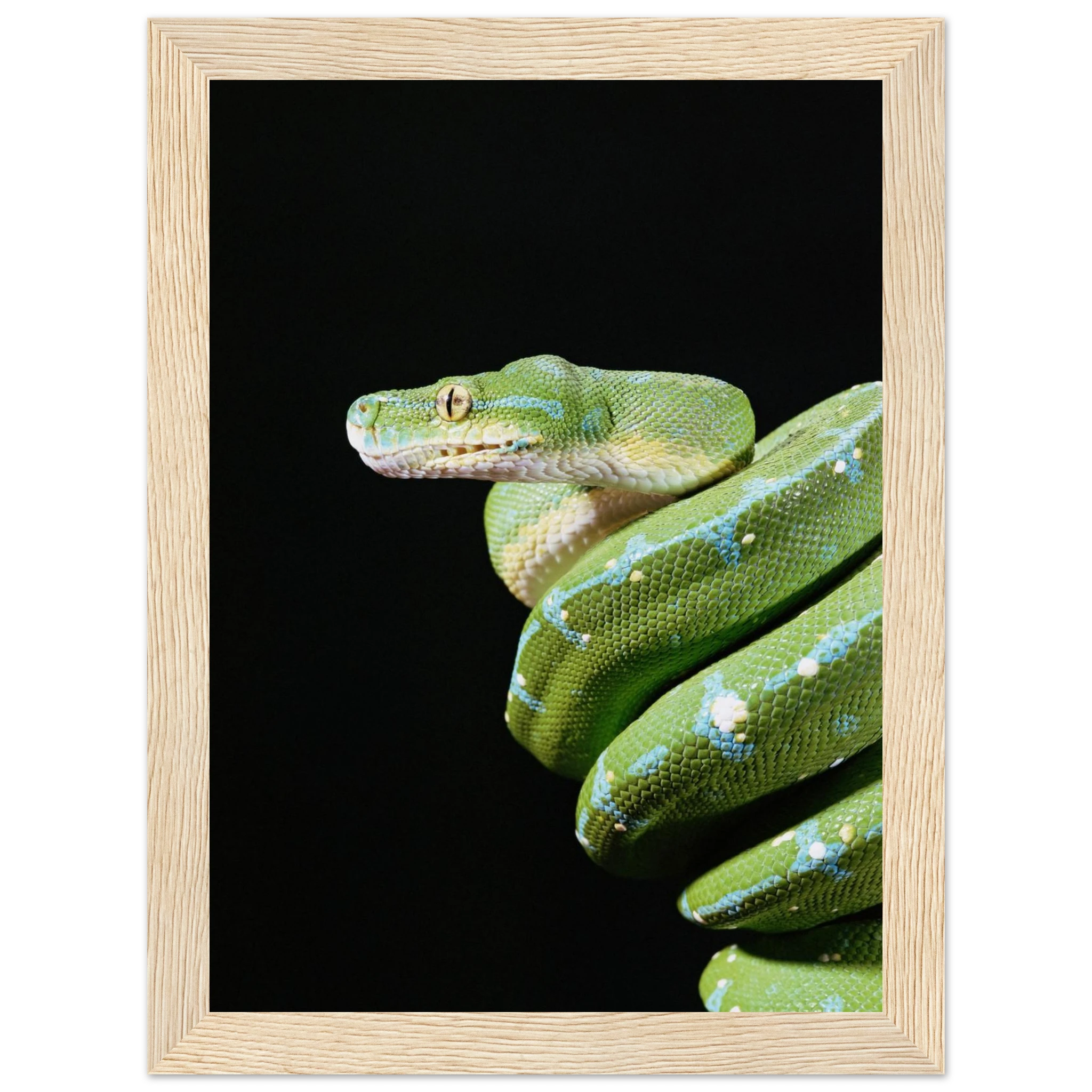 21a3ed39-01af-4bba-ac1b-9cee9f1b044b