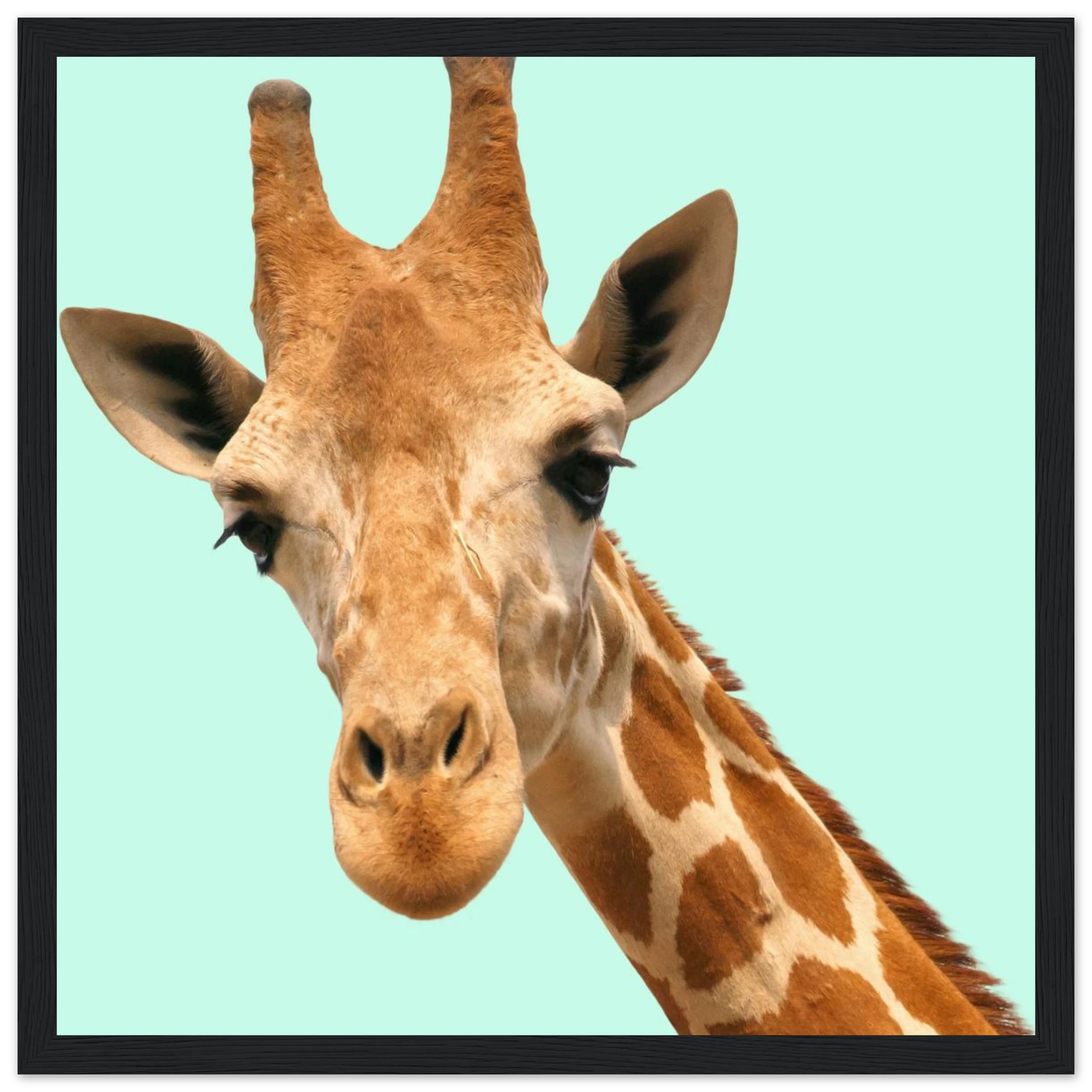 21bd7d4a-6745-40ba-888a-321ce275b4e9