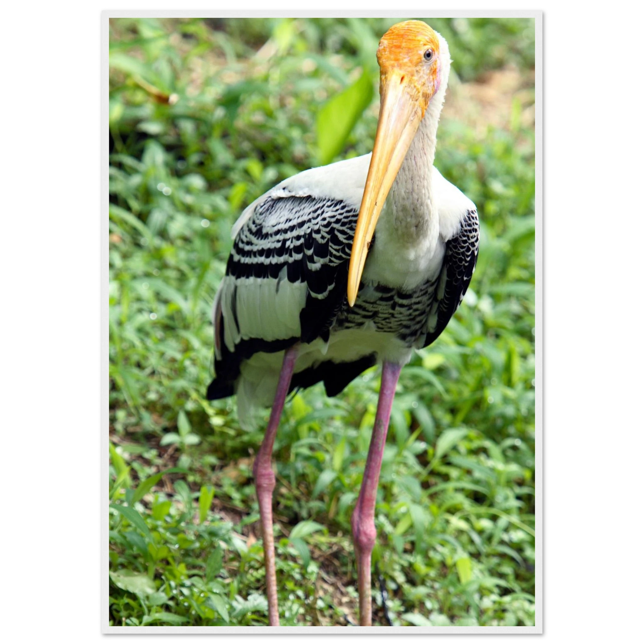 21cdfb4e-bc7f-4fd2-bc1d-ee53a32d7326