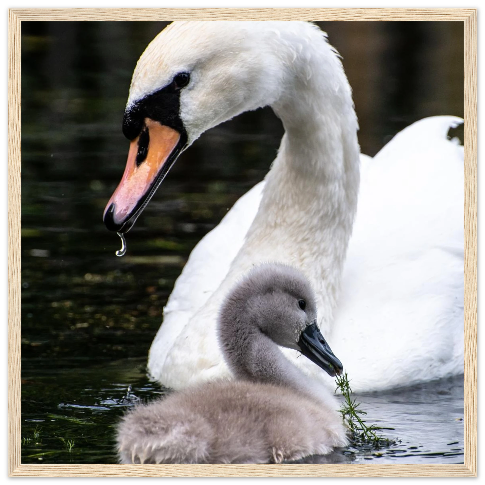 21dfd8e0-34fc-47ea-a90b-d92bd618413b