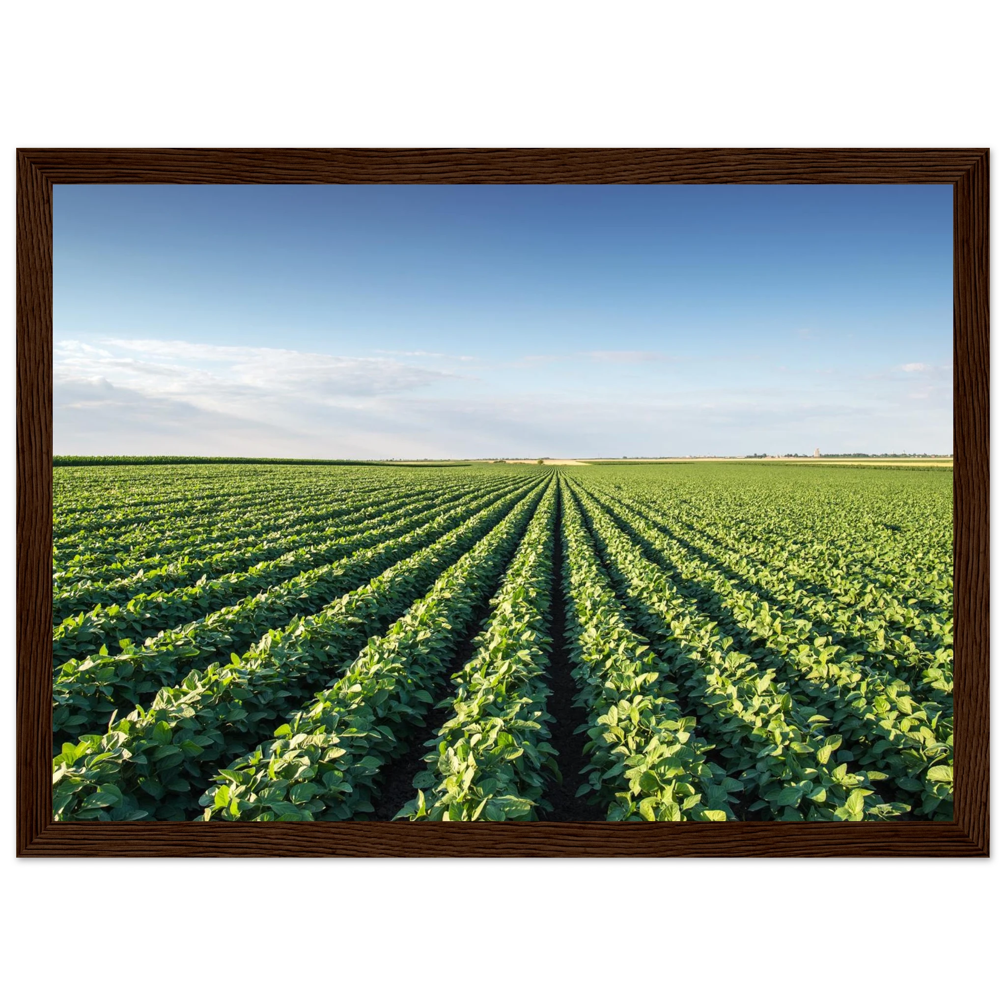 21f1fc7d-86f7-482e-b60b-6fb53087002d