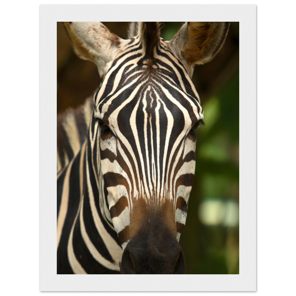 21f7ba1d-d14d-4f55-a6d9-82f701b251f9