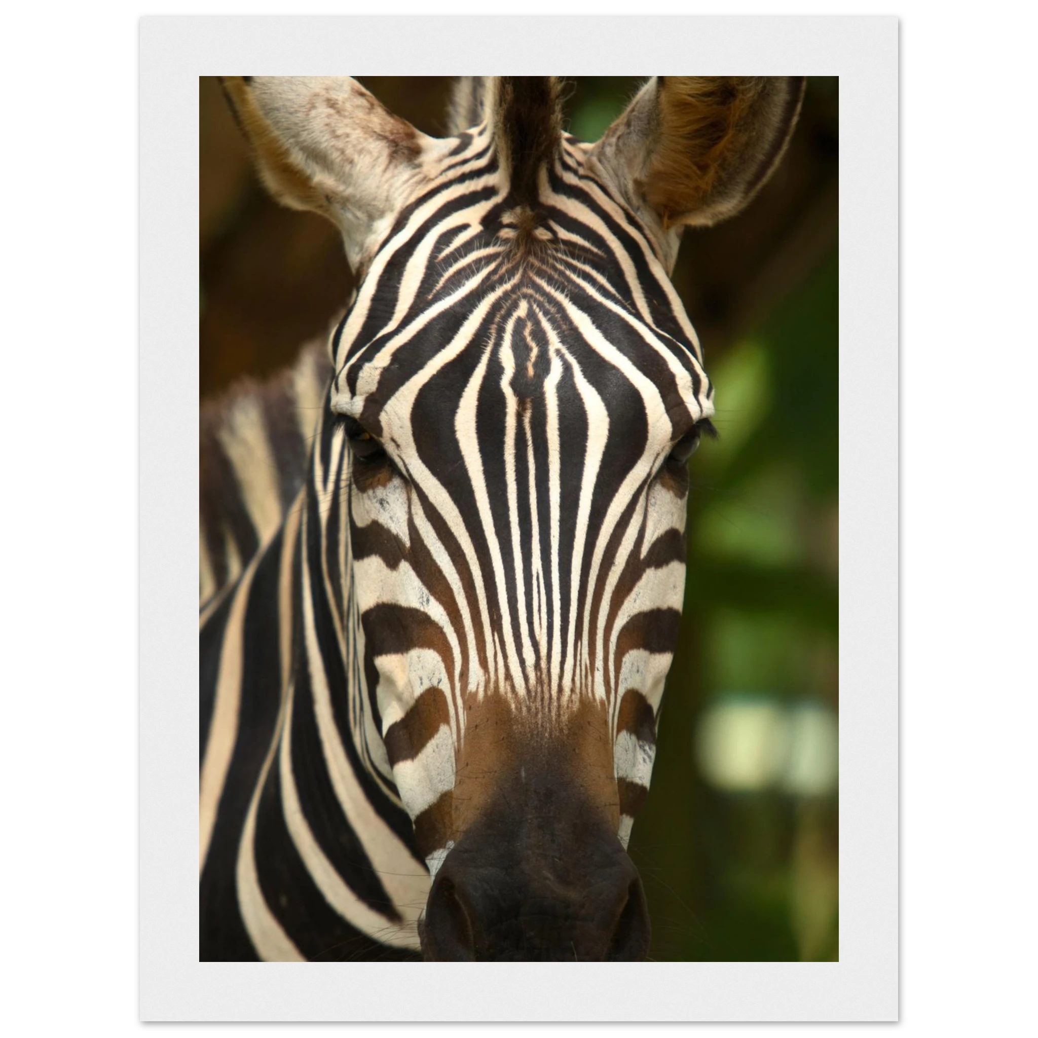 21f7ba1d-d14d-4f55-a6d9-82f701b251f9