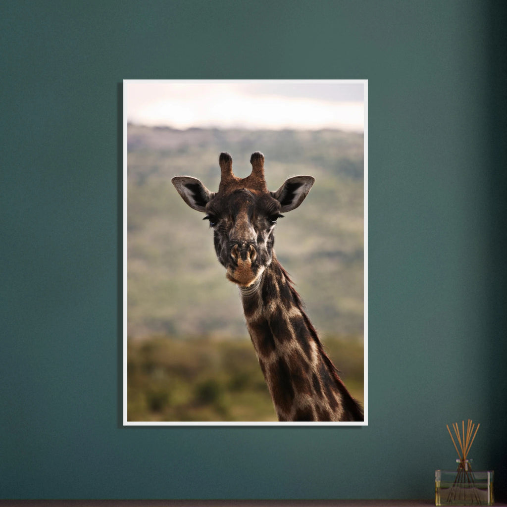 2219deb8-aab1-4244-bf40-81a5902d854d