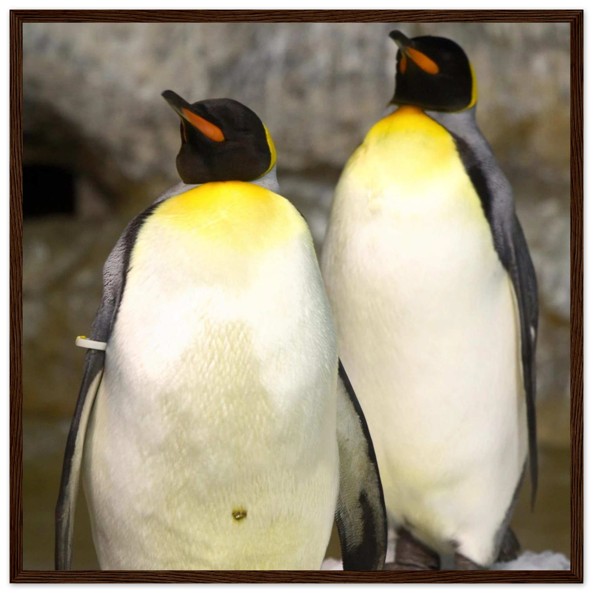 222d2b4b-7917-4b92-bf40-b3369827bef3