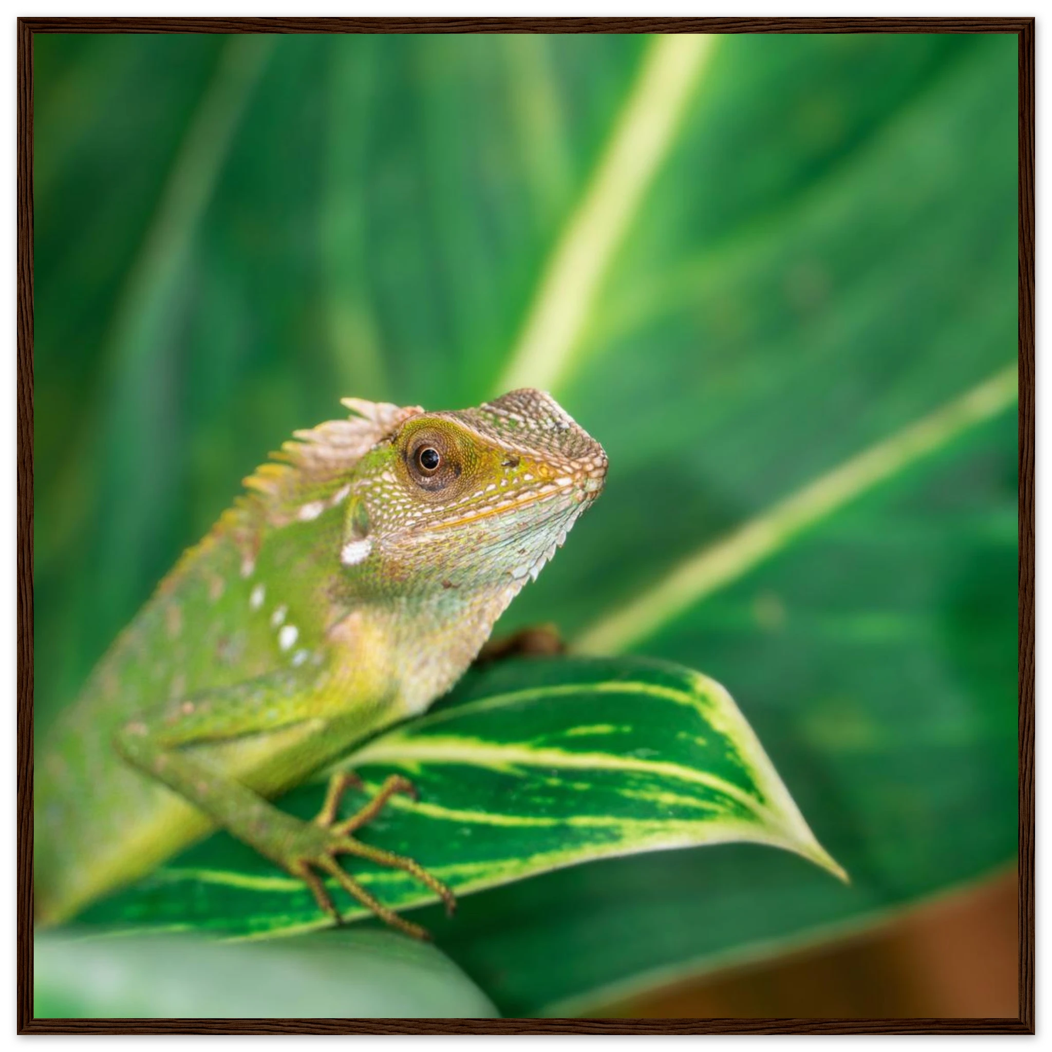 226297a4-2b54-4eb8-a43c-69108934e7db