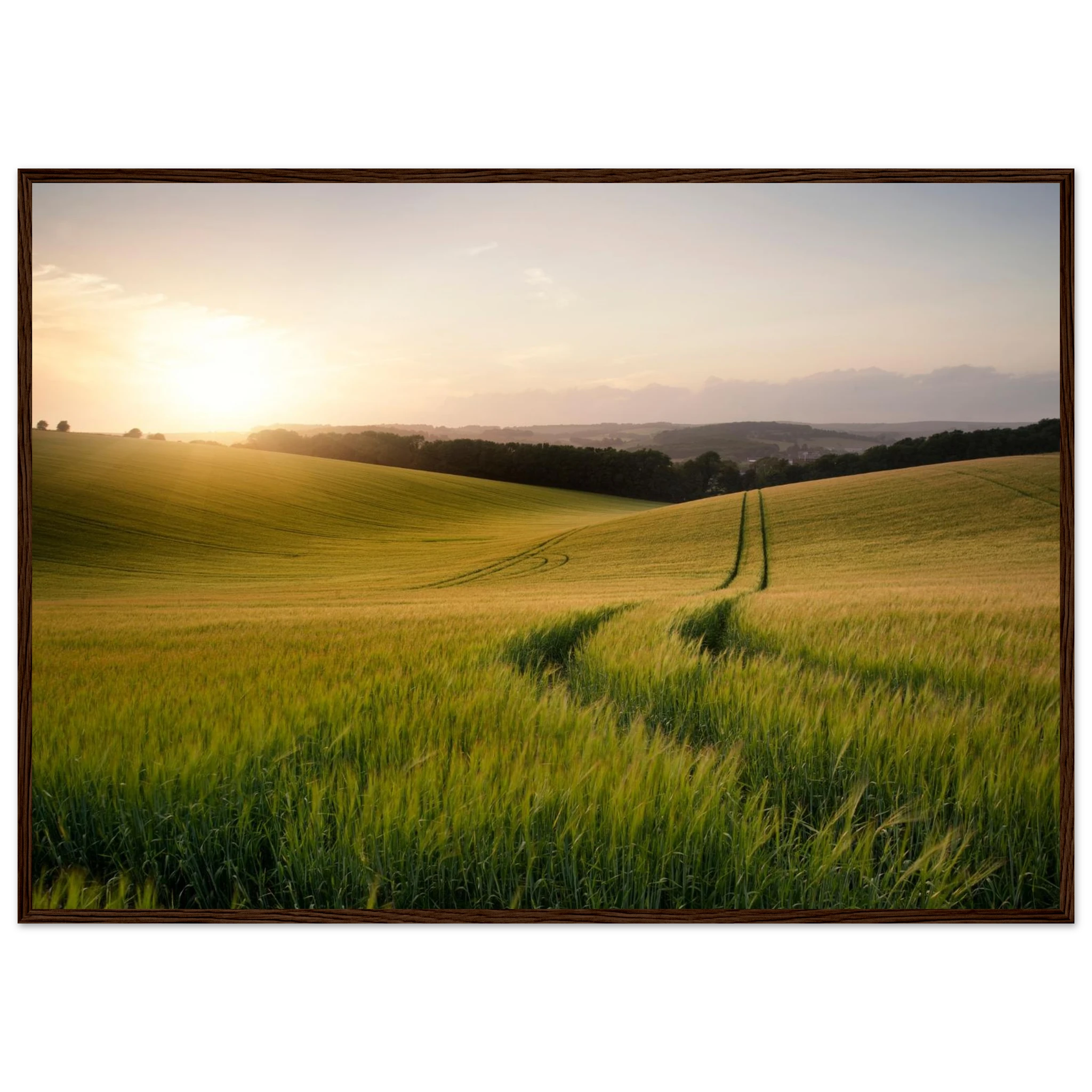 227c7278-7999-4658-a95c-01c37ef322e3