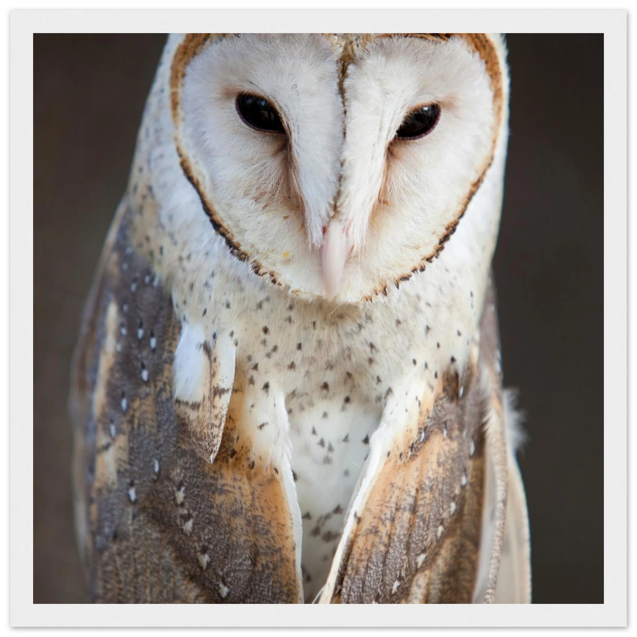 2291b35a-175d-41d4-a7ef-2bed7eed6206