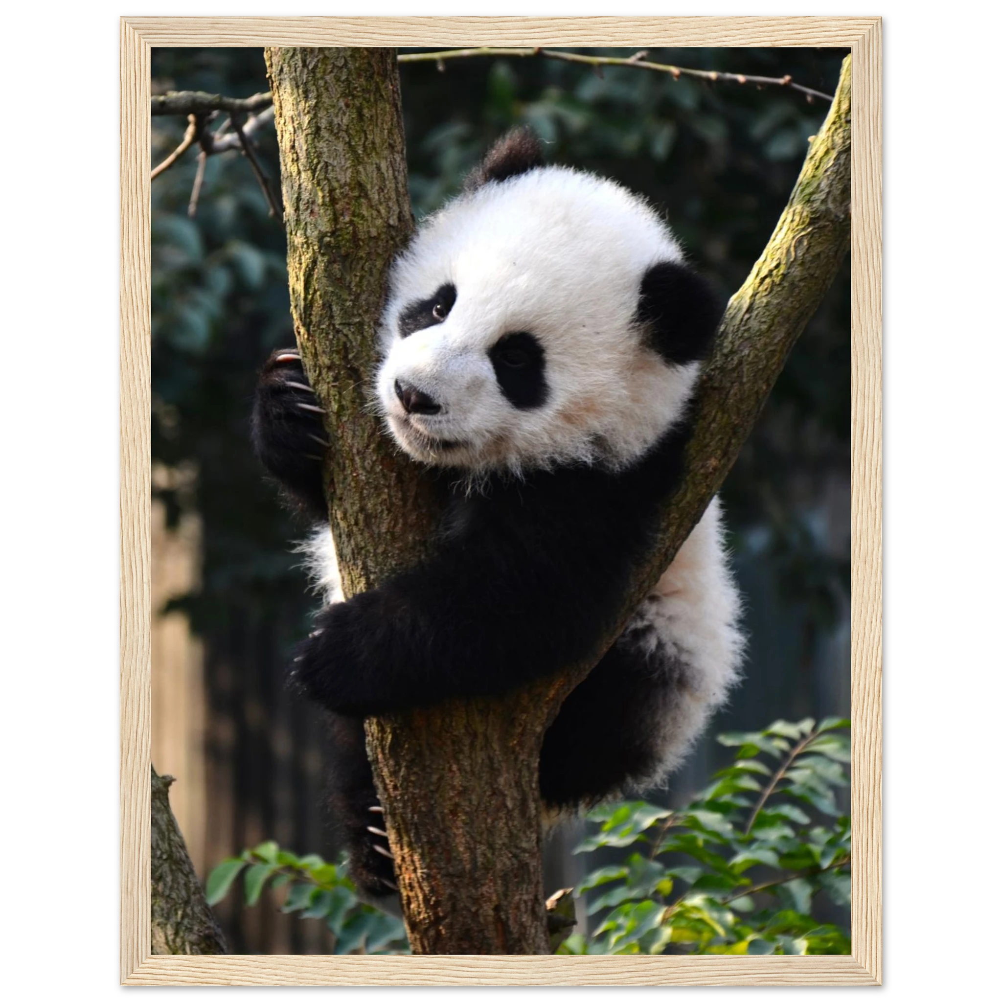 229410b4-4bf0-4dca-b532-3bea282aa1bd