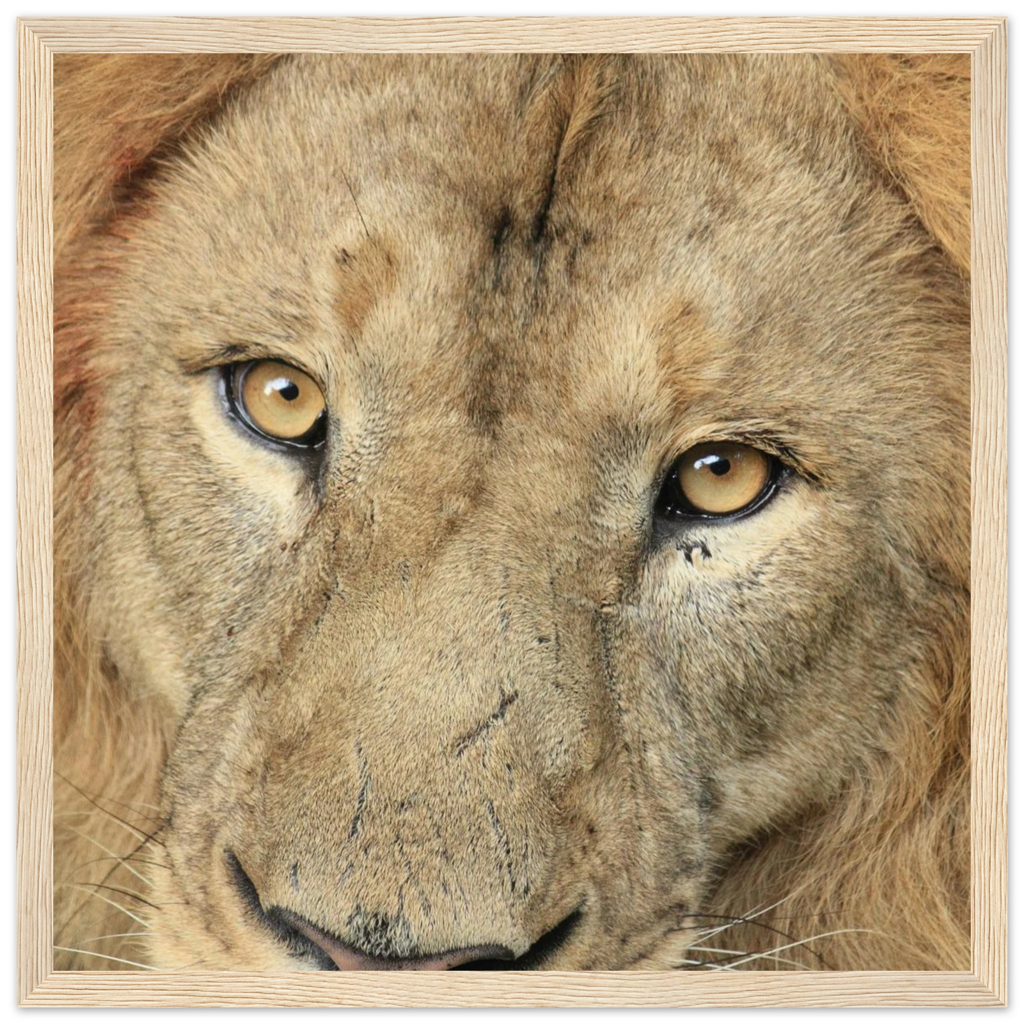 22b69190-d16b-42e0-9623-41f03f7449f4