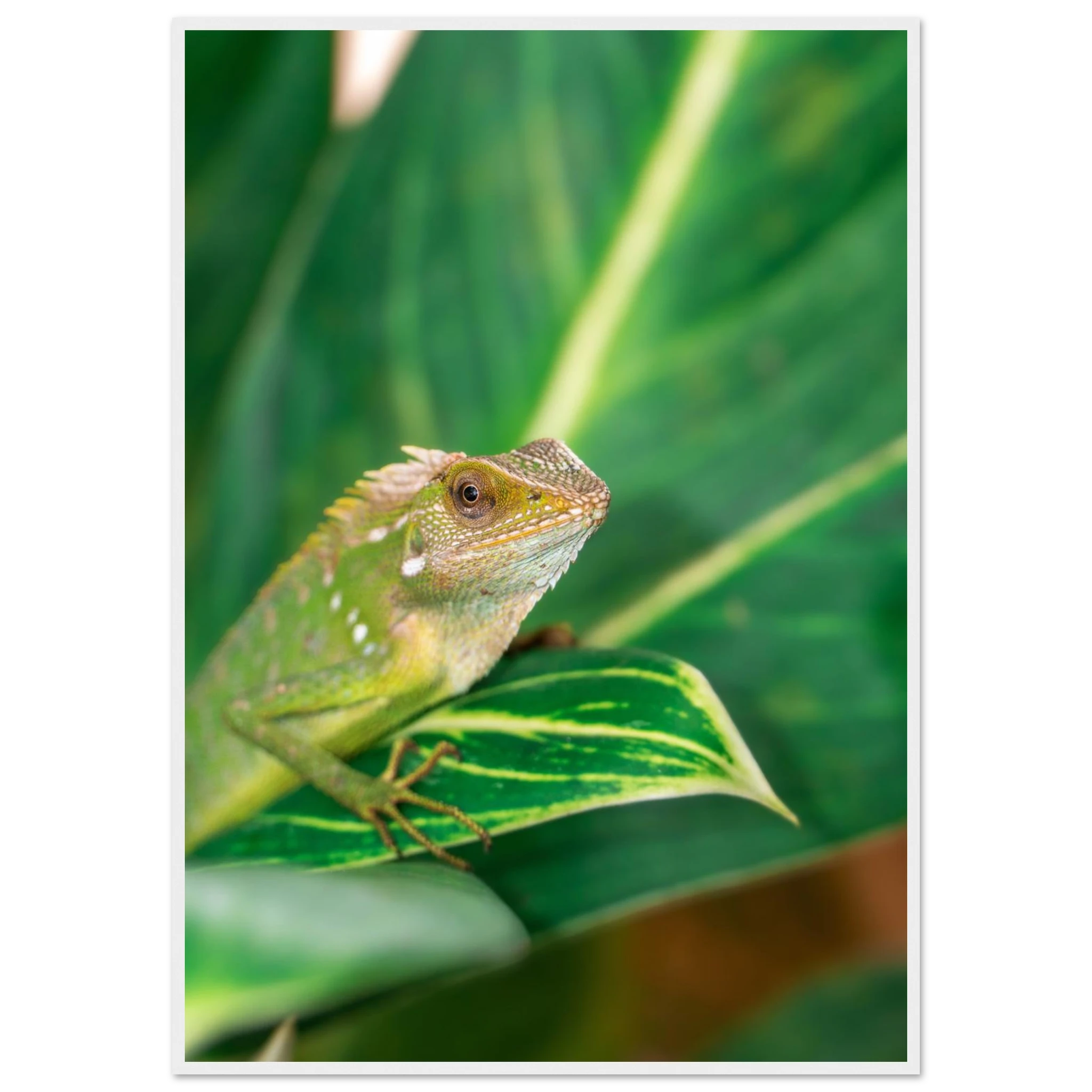 22bb1009-e2e2-4088-8b96-317ec75e7388