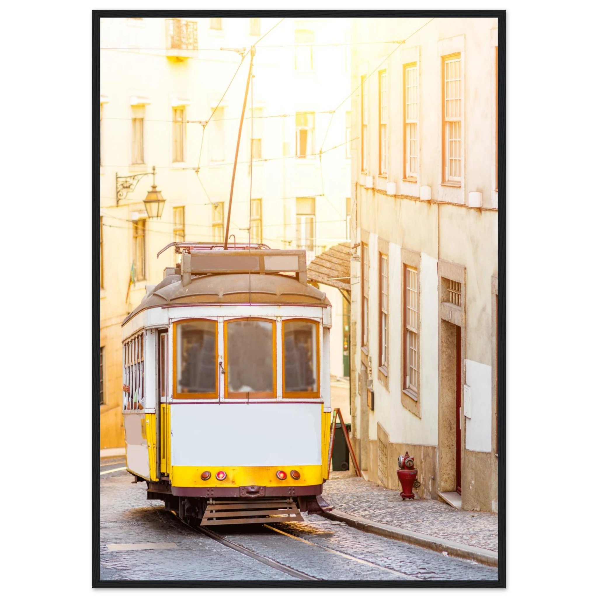 22bc0bfe-61f6-4025-88fd-55d6b3db895a