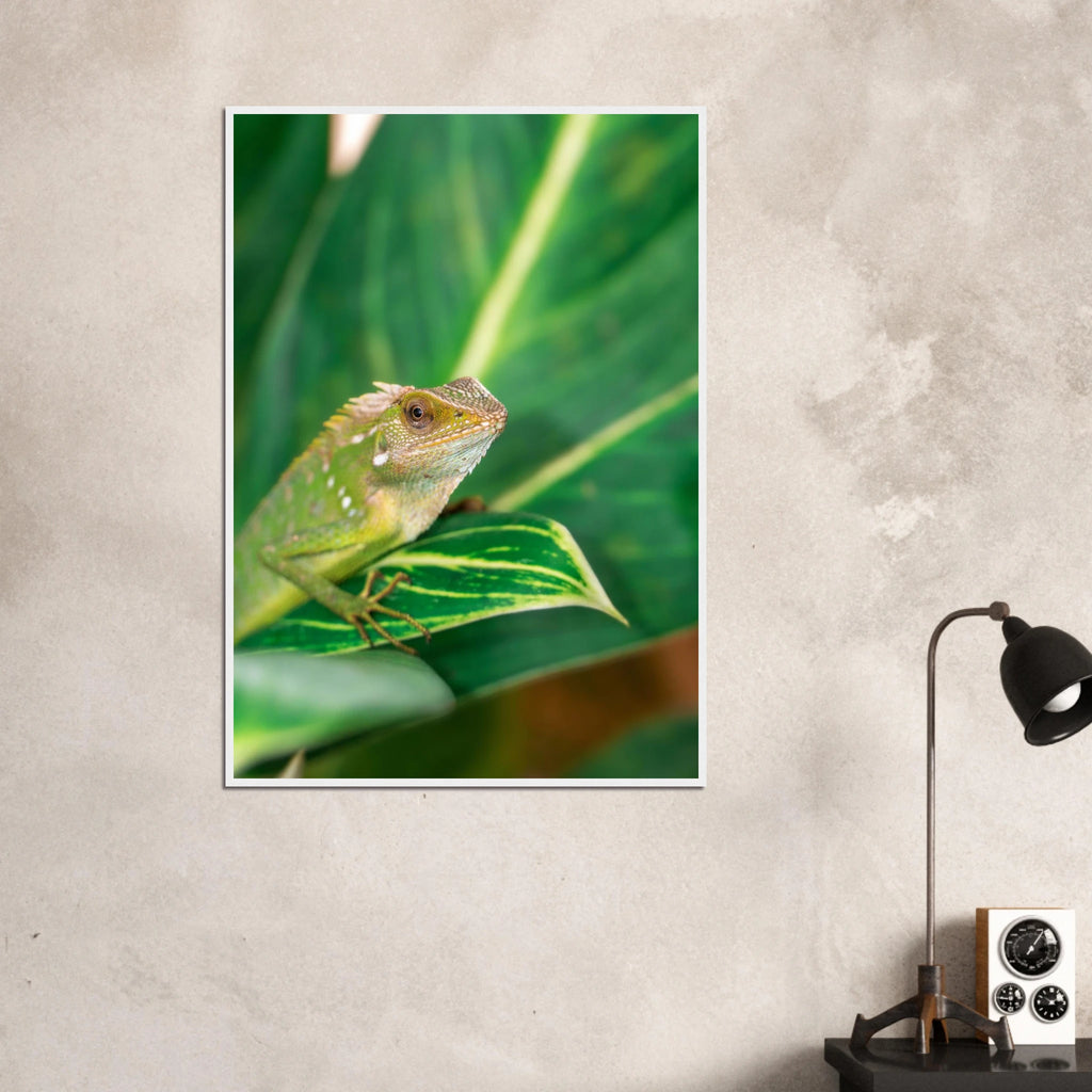 22c80f72-ae6f-412d-8928-a736e889cc00