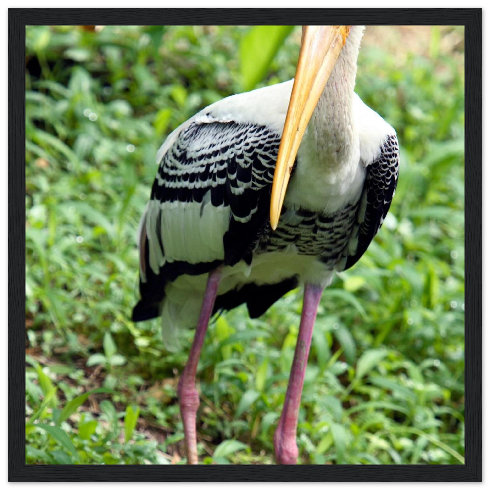 22d075fb-7b4f-4e04-ad55-1dde327f2614