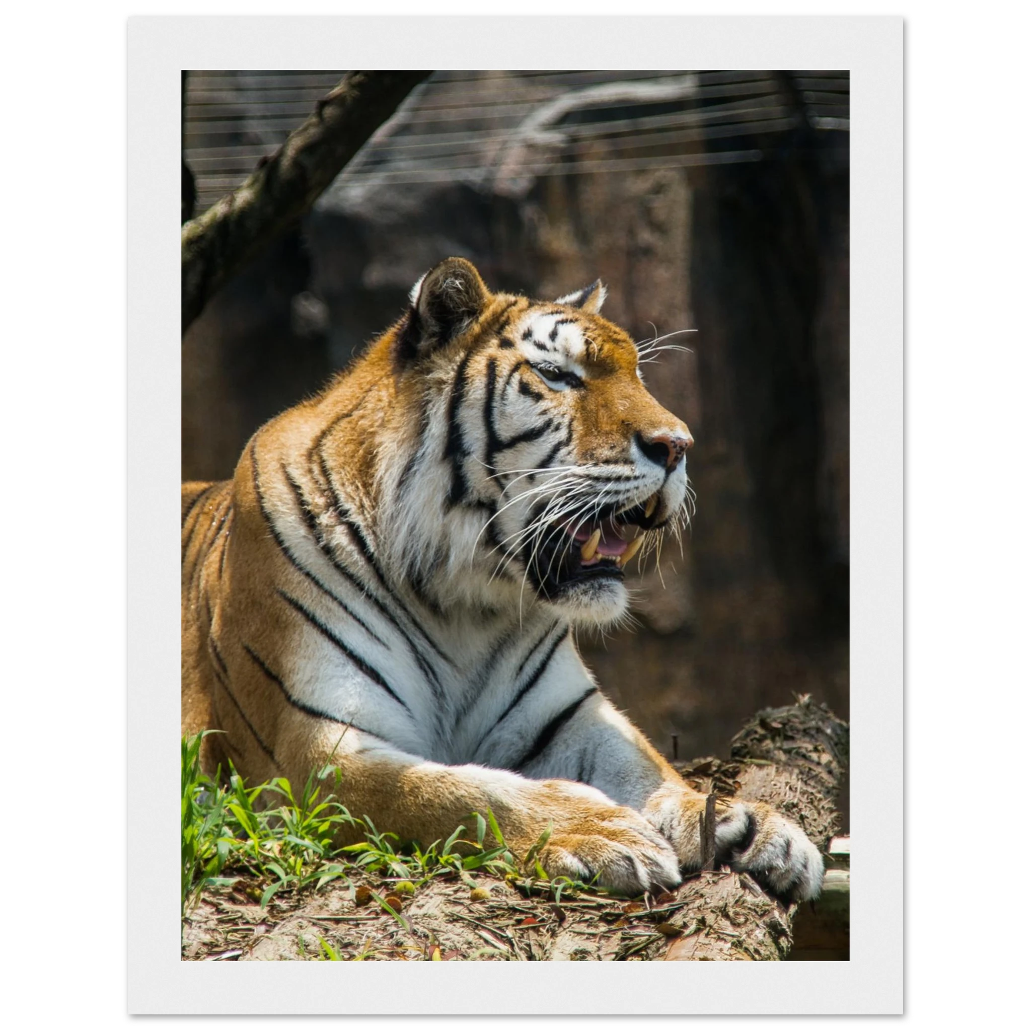 22d61ca6-656d-42ad-ad3f-e19d6c70e2fe