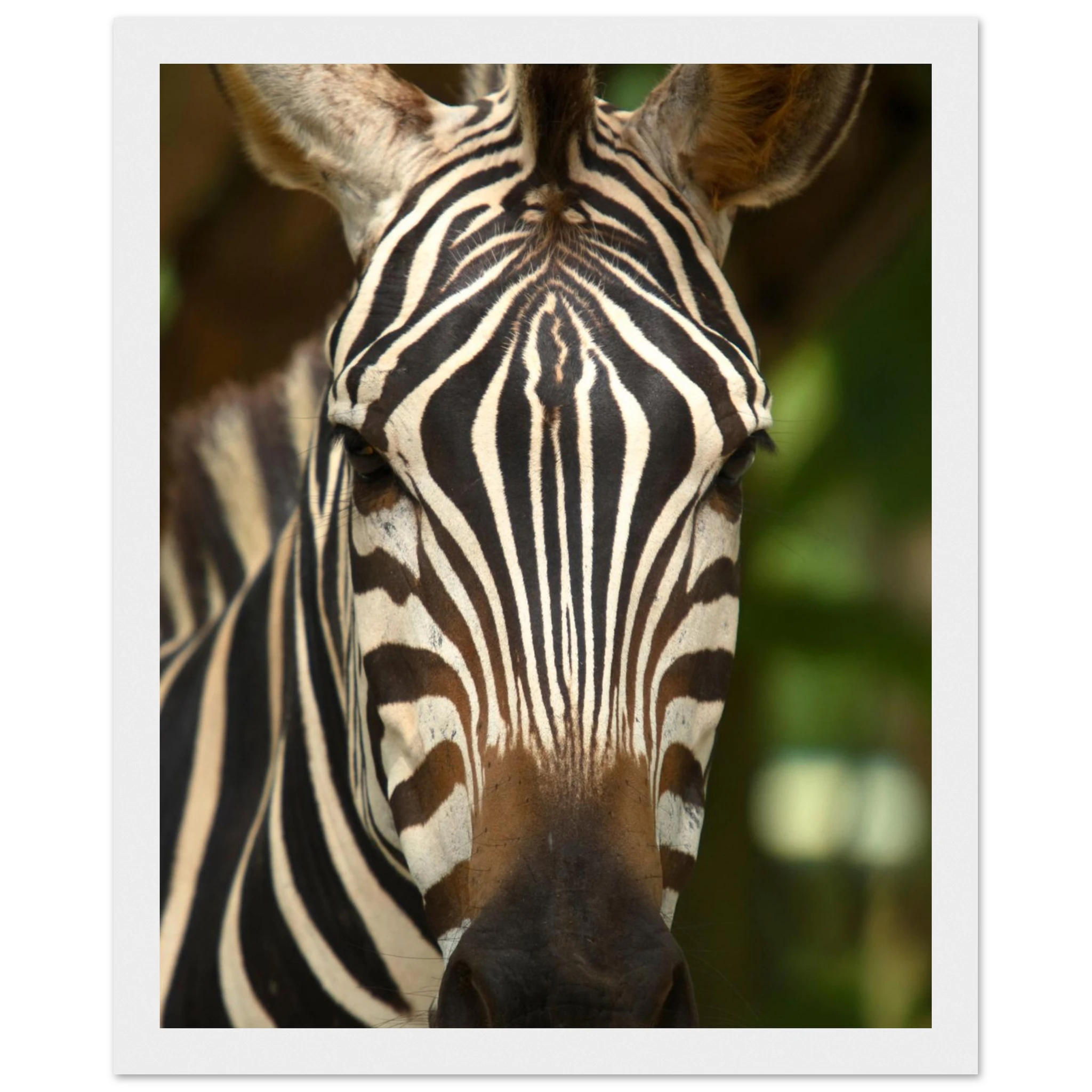 22df3bf9-b6bb-422d-9961-99bdb8a46741