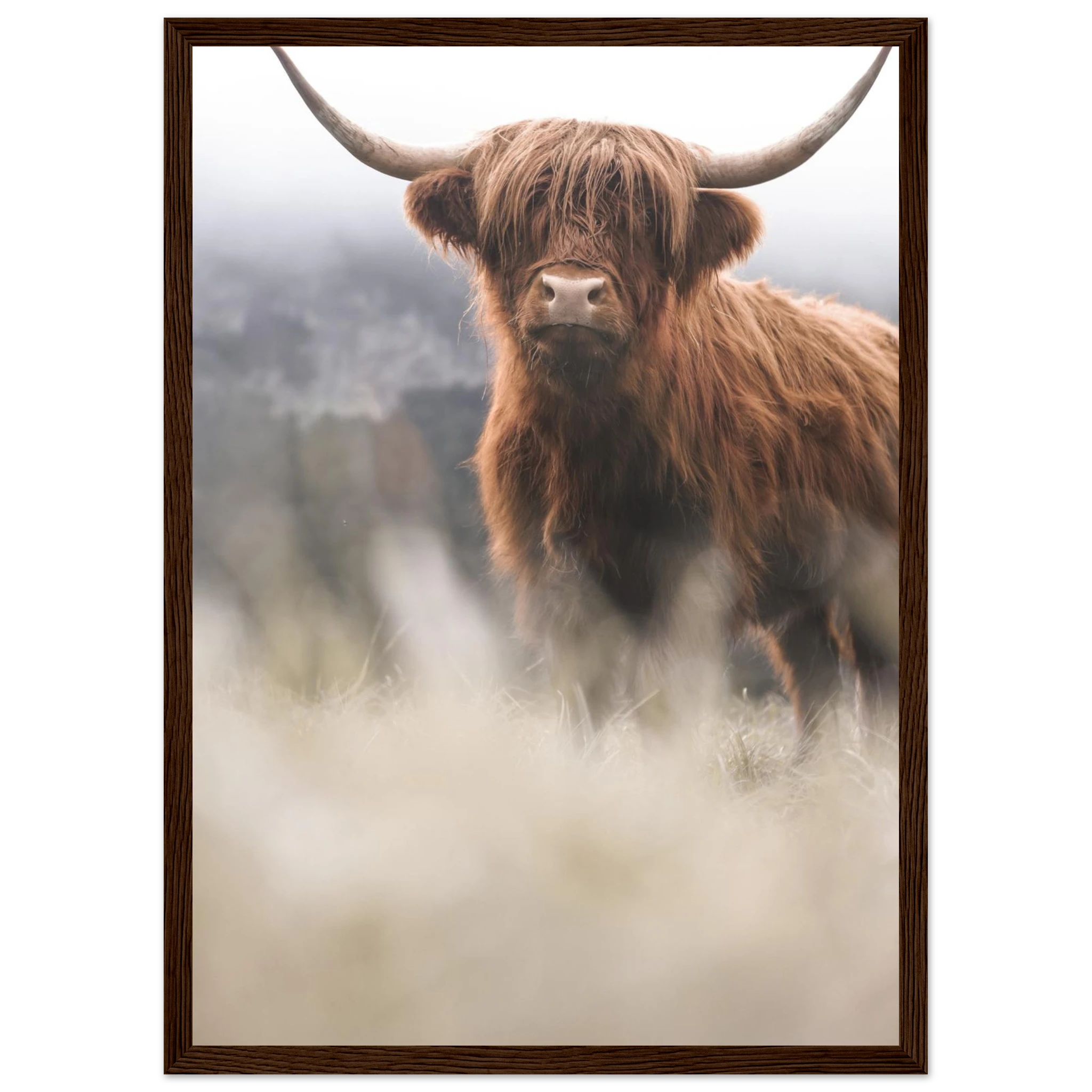 22edb554-7891-4d54-aed3-98cedaababc6