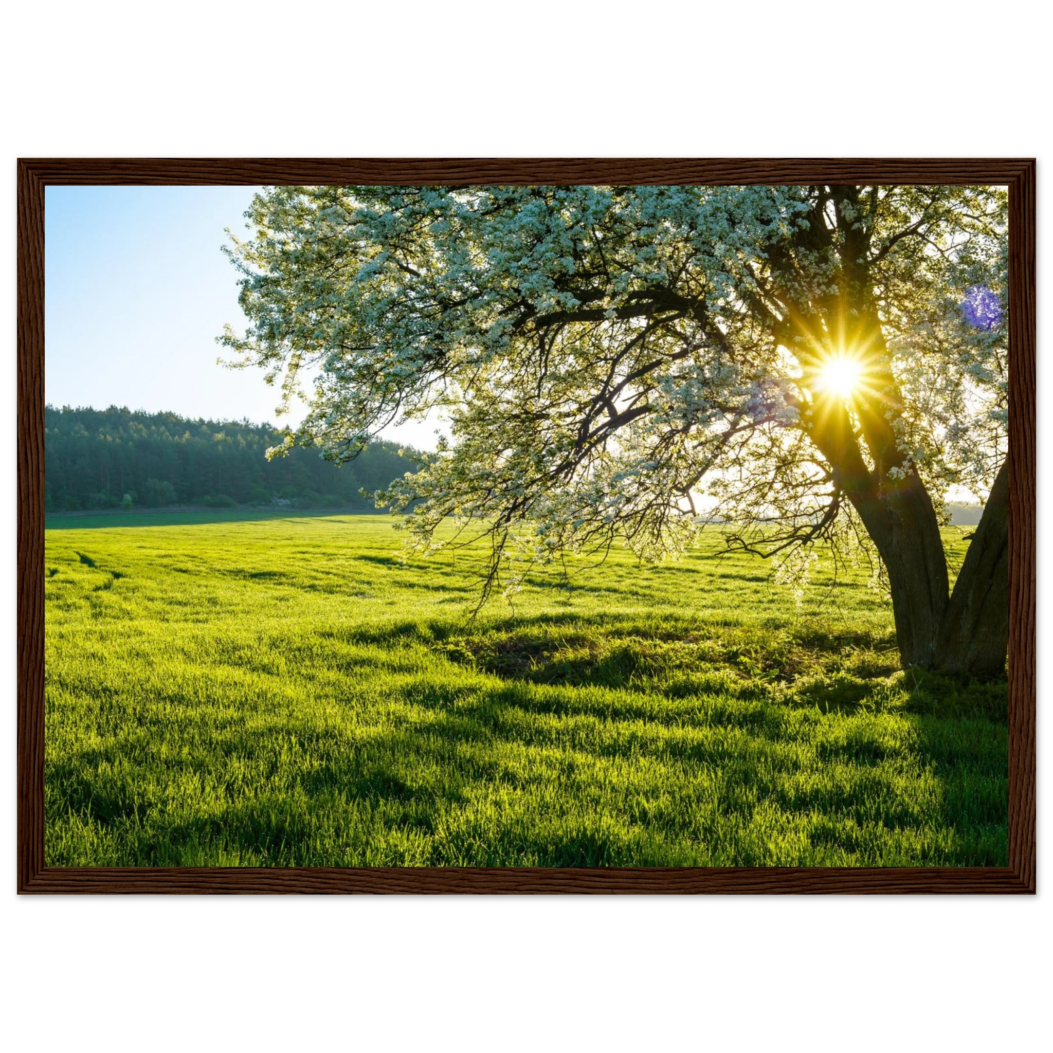 22f67765-6a9c-4c0f-bad4-7f3a6a5afad2