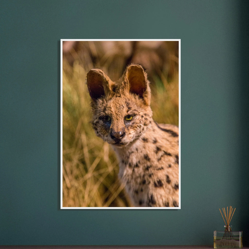 2319a8e3-6730-4a0f-8acf-f17c9c101915