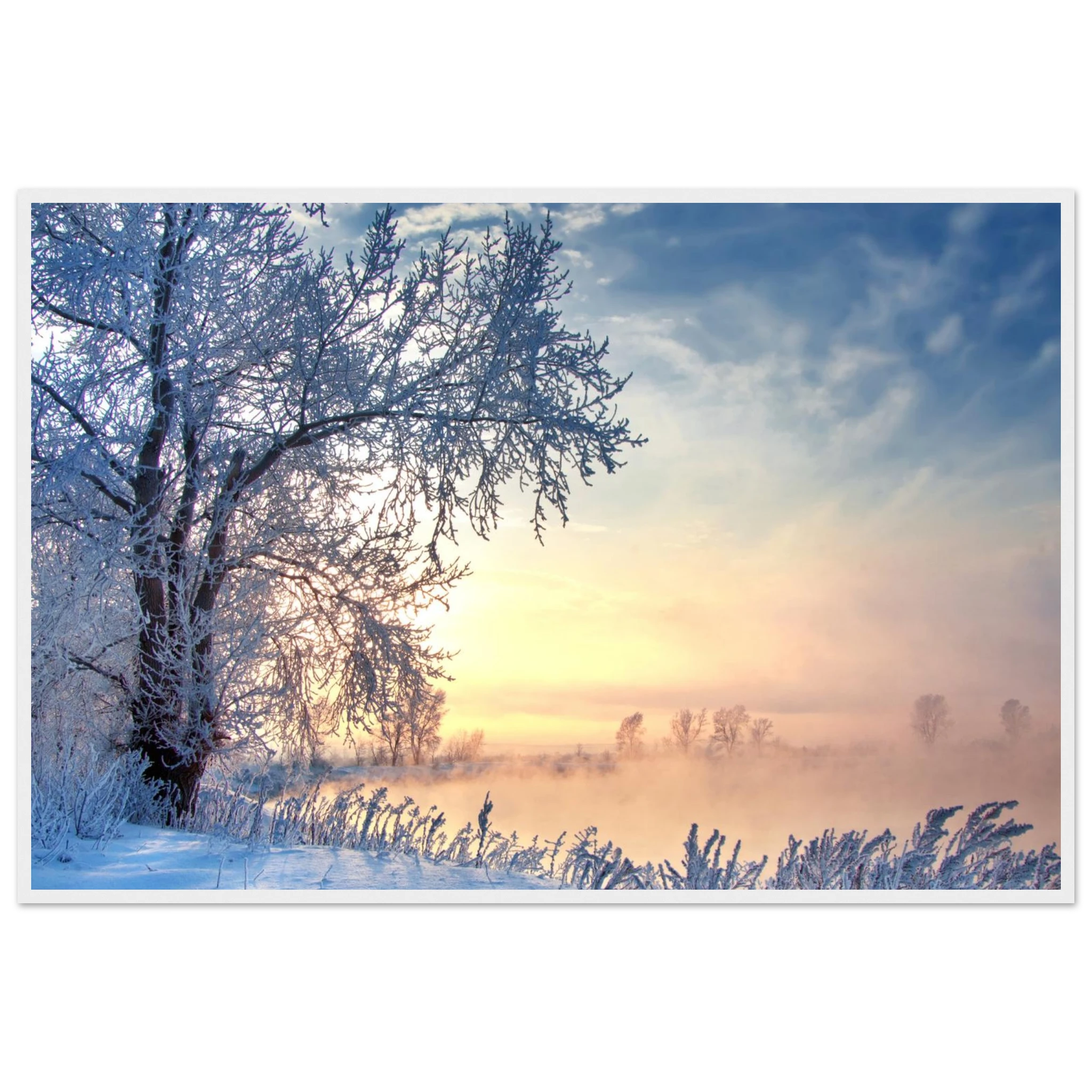 231a70c5-ddb1-4f9b-9098-2a8c5ef0c160