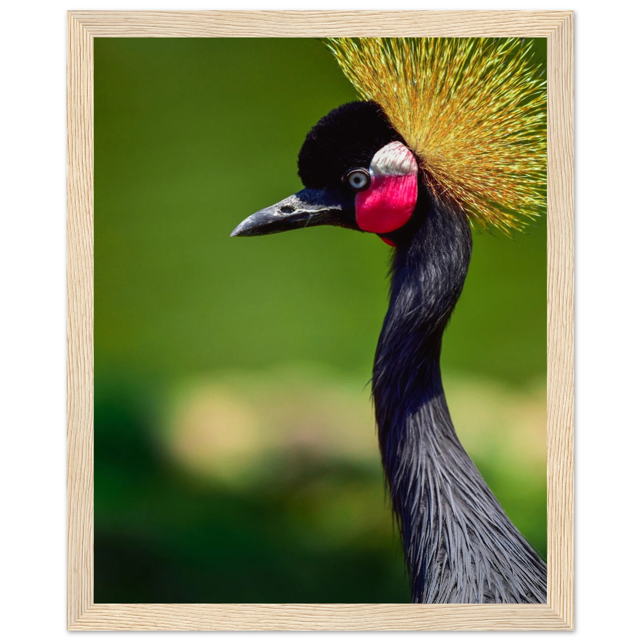 23231a33-6722-4d49-b0c4-b66e2e09273f