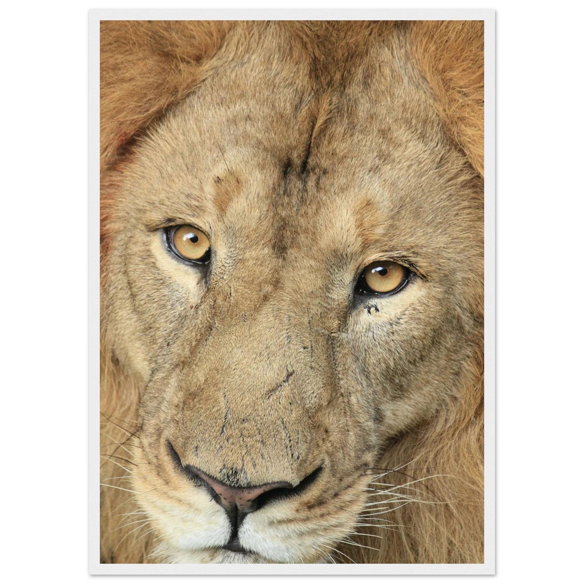 2332d5cb-55dd-4e9e-95e3-c1a80328467f