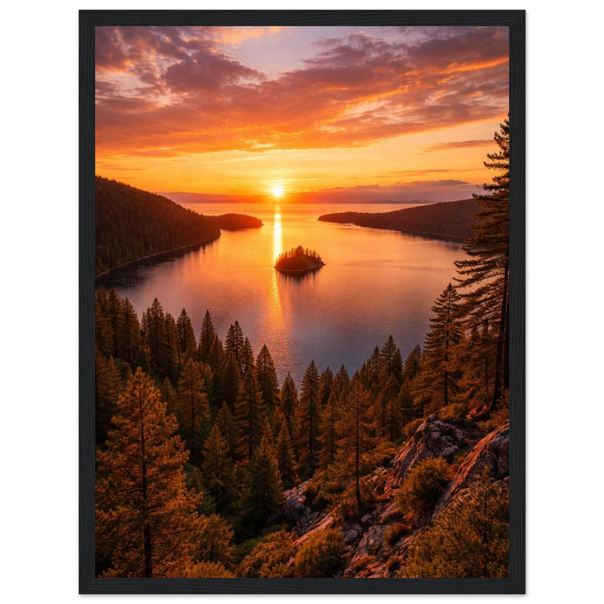 236cf4c0-f1db-45c7-b477-a52d1ee9fcf8