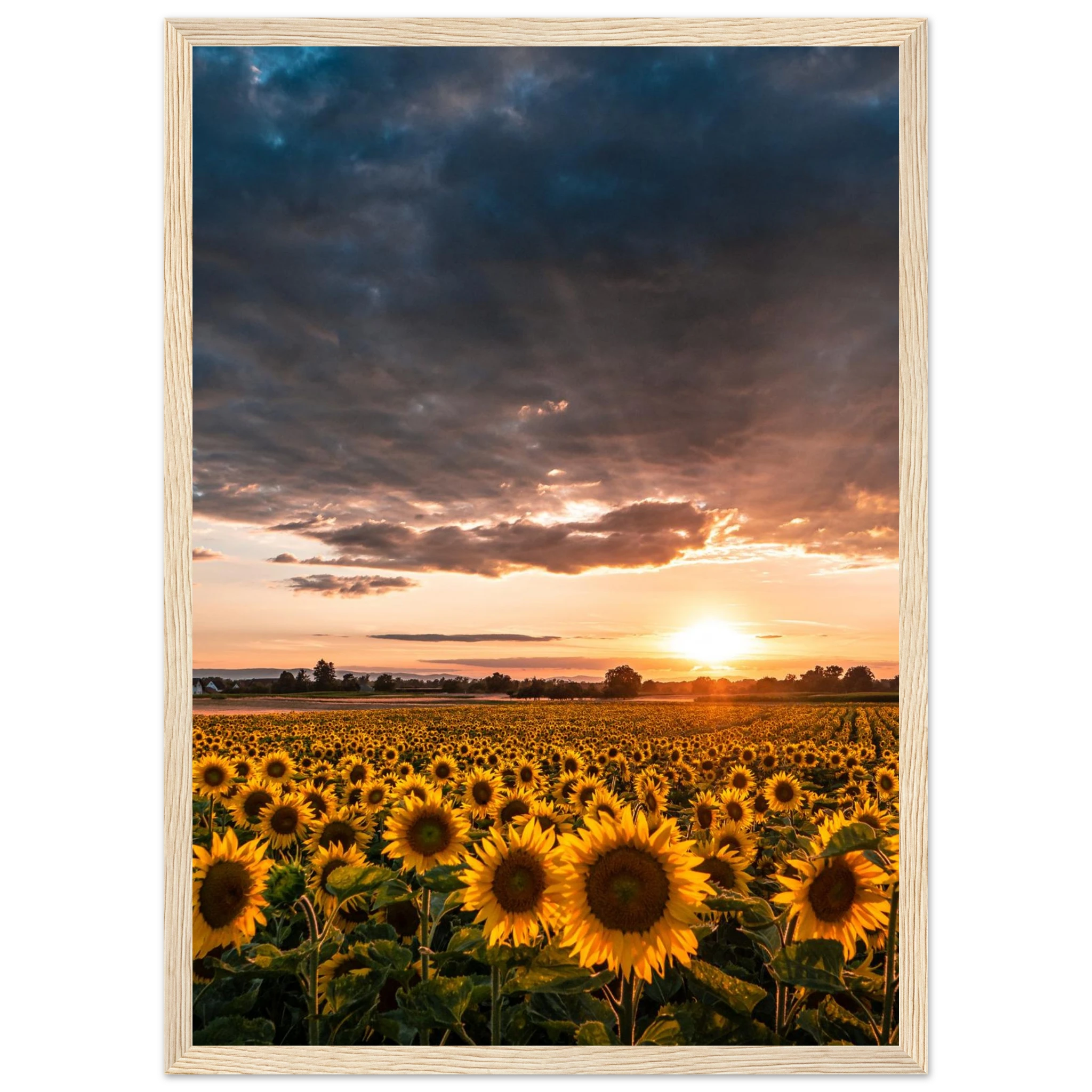 237874de-bdf6-4b81-ae24-b581844788b2