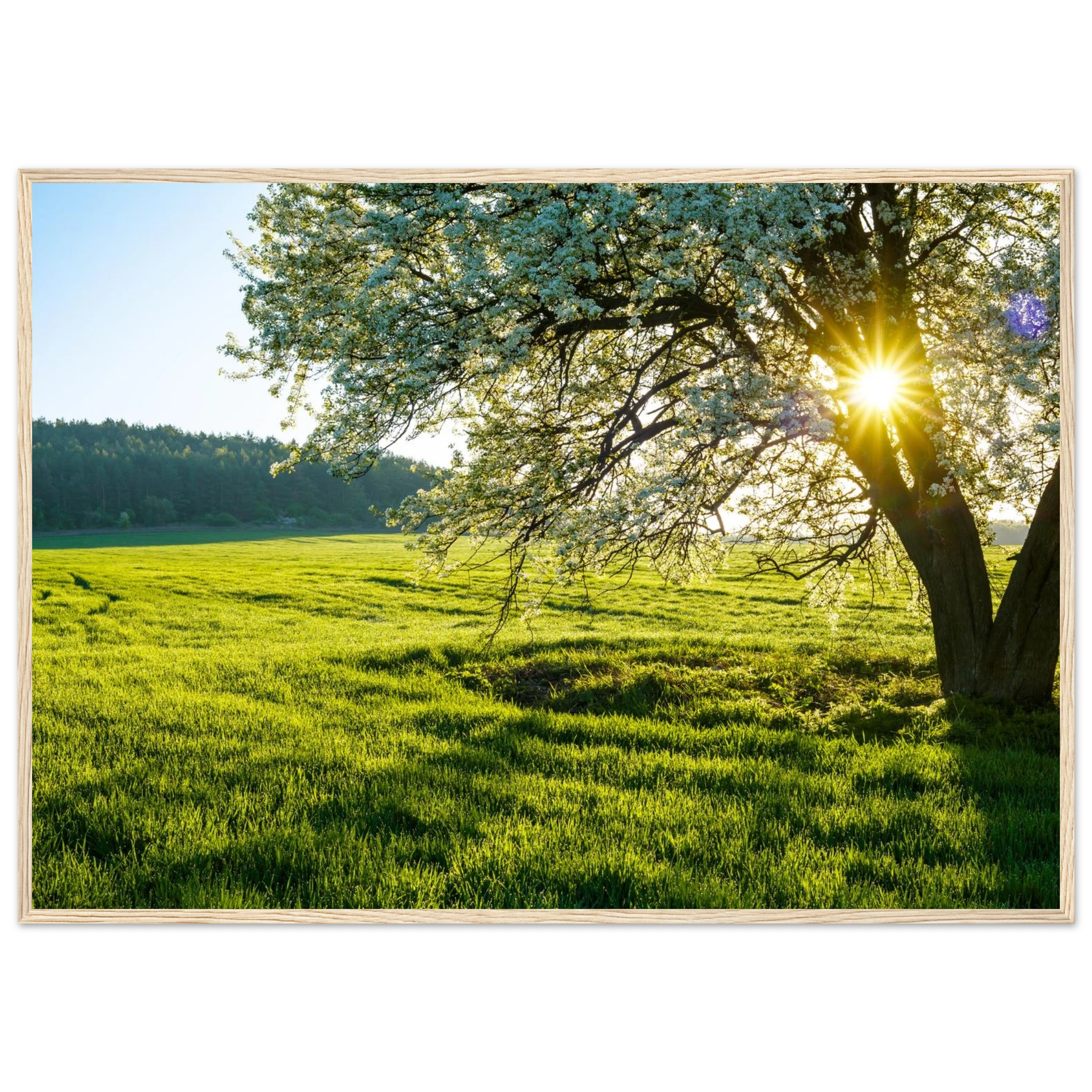 2389ef3a-b2d4-4421-8693-17814a17be5c