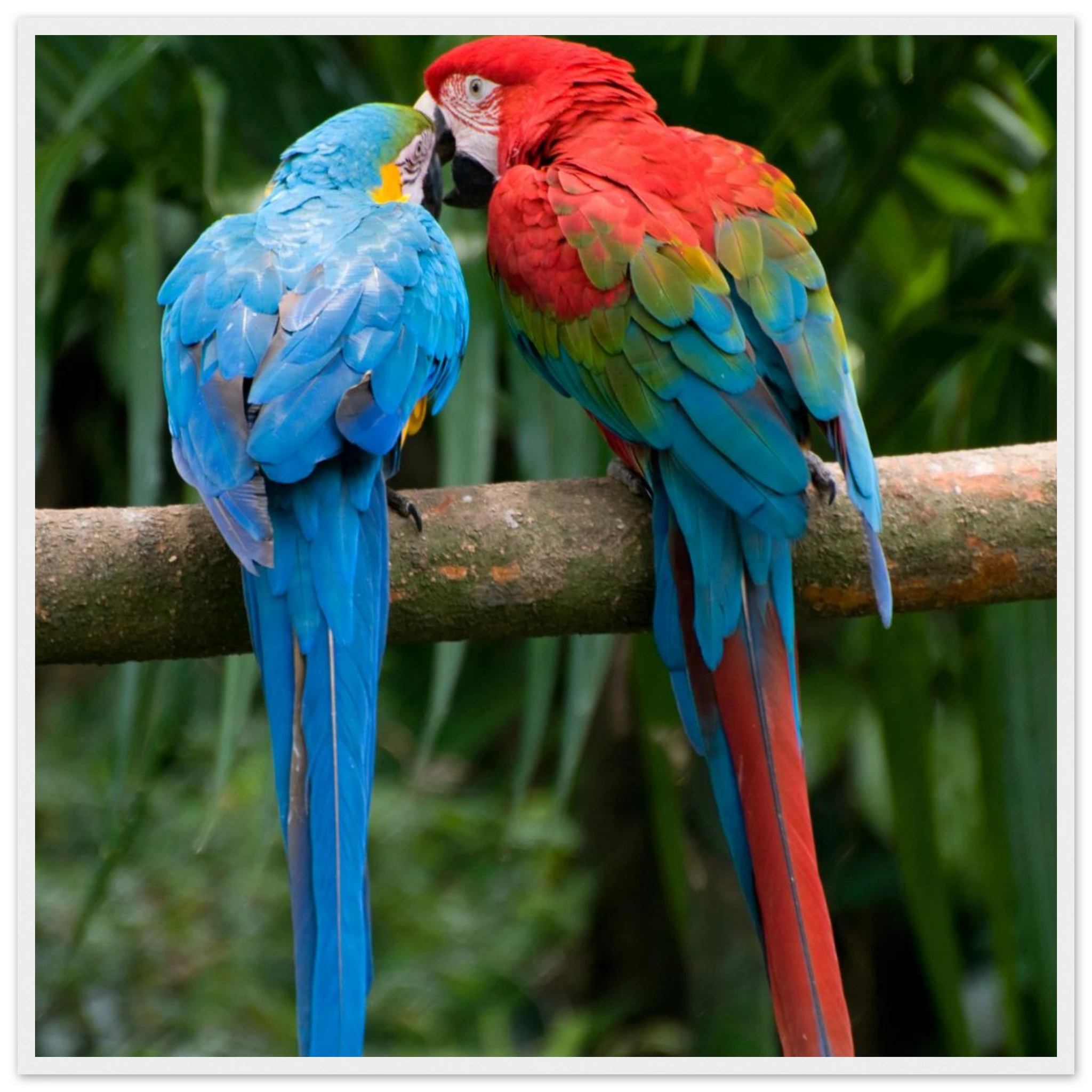 238d811a-149d-4b05-81a3-c76cf0cad8f7