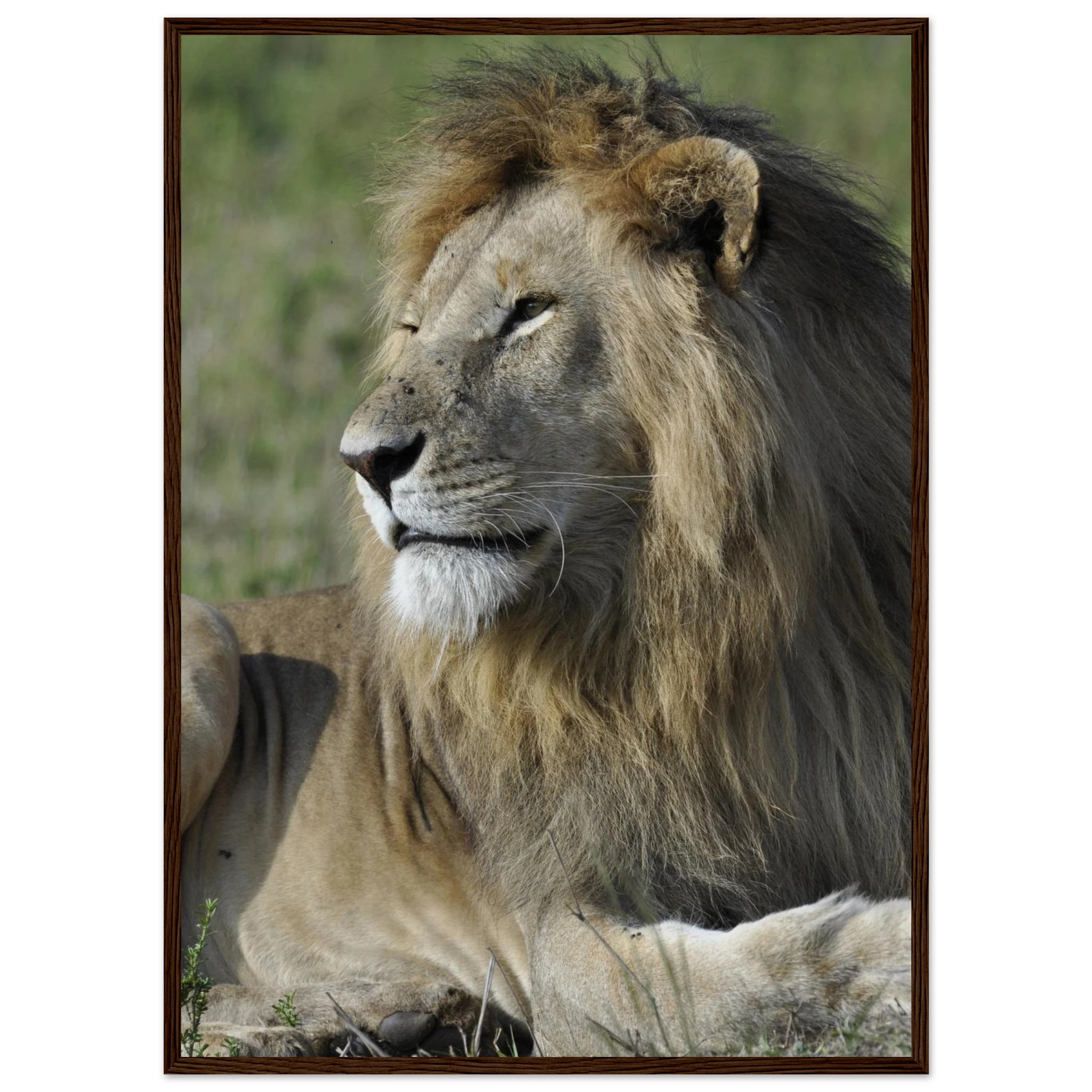 238da3d1-0dce-4cf2-97ed-33be5852c826