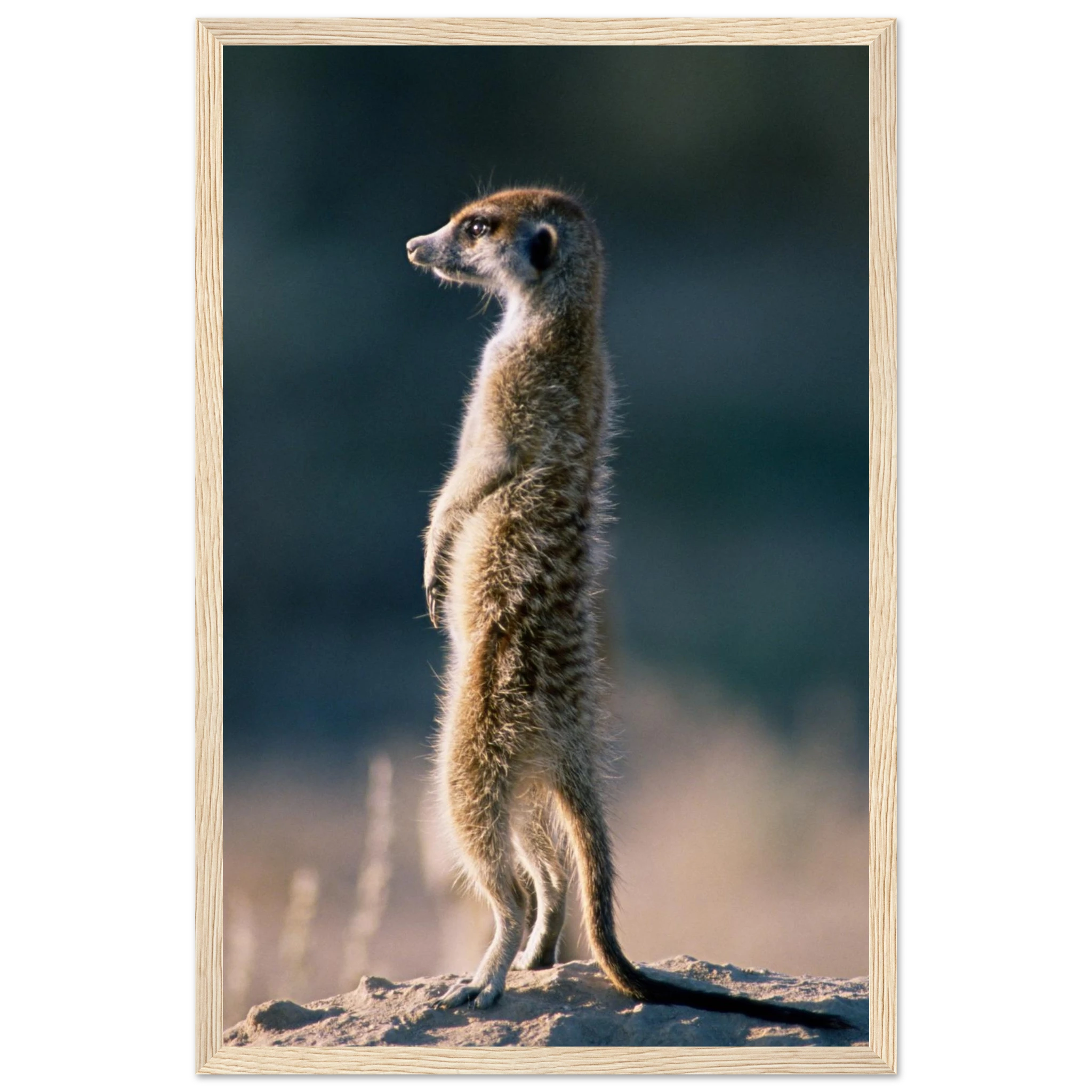 2392ccc7-d848-4cb8-84db-a4768e2a64c2