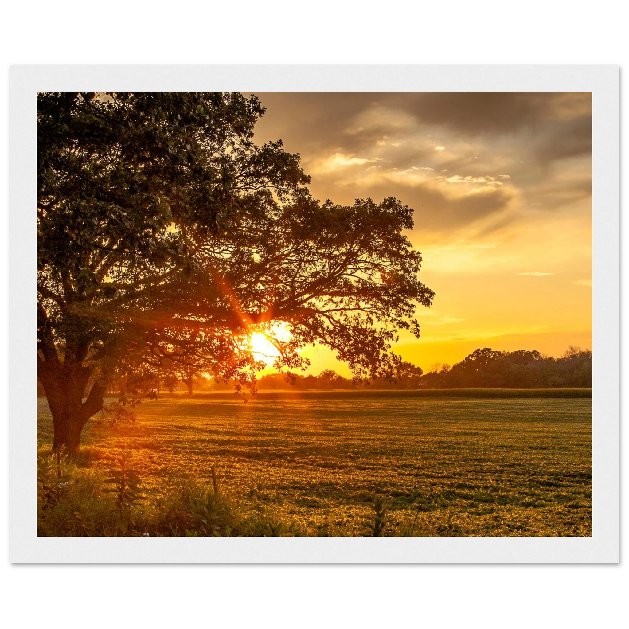 2393468a-c353-4695-8d6e-8a8b5cb4901d