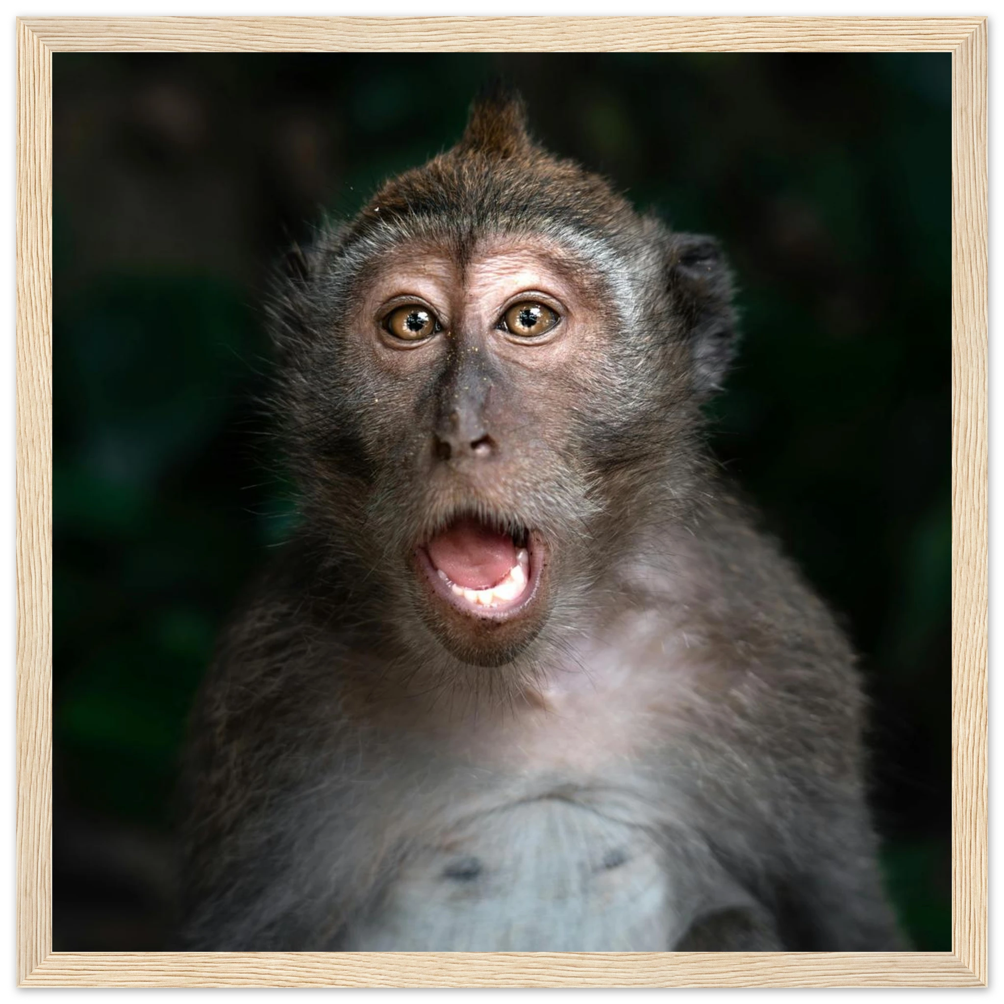 23a423eb-2803-4d4a-a14d-db585e6b9e39