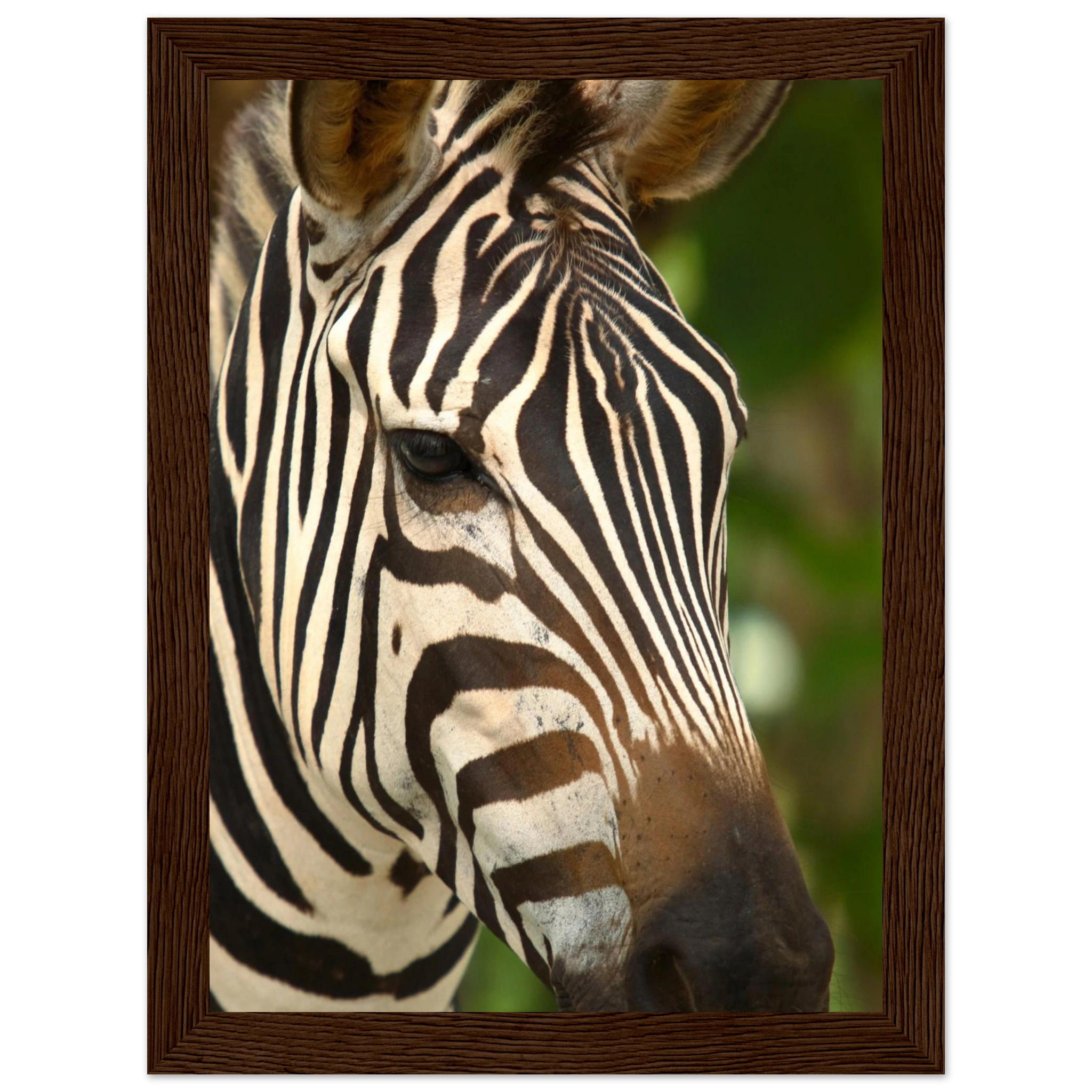 23ecc2e4-b925-4ca1-af99-026c4df4374c