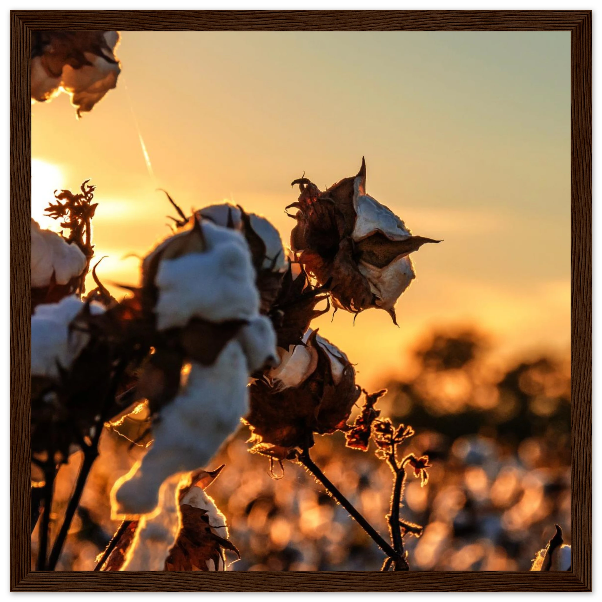 23f53e05-6a76-47d9-9576-9bcc1d68f411