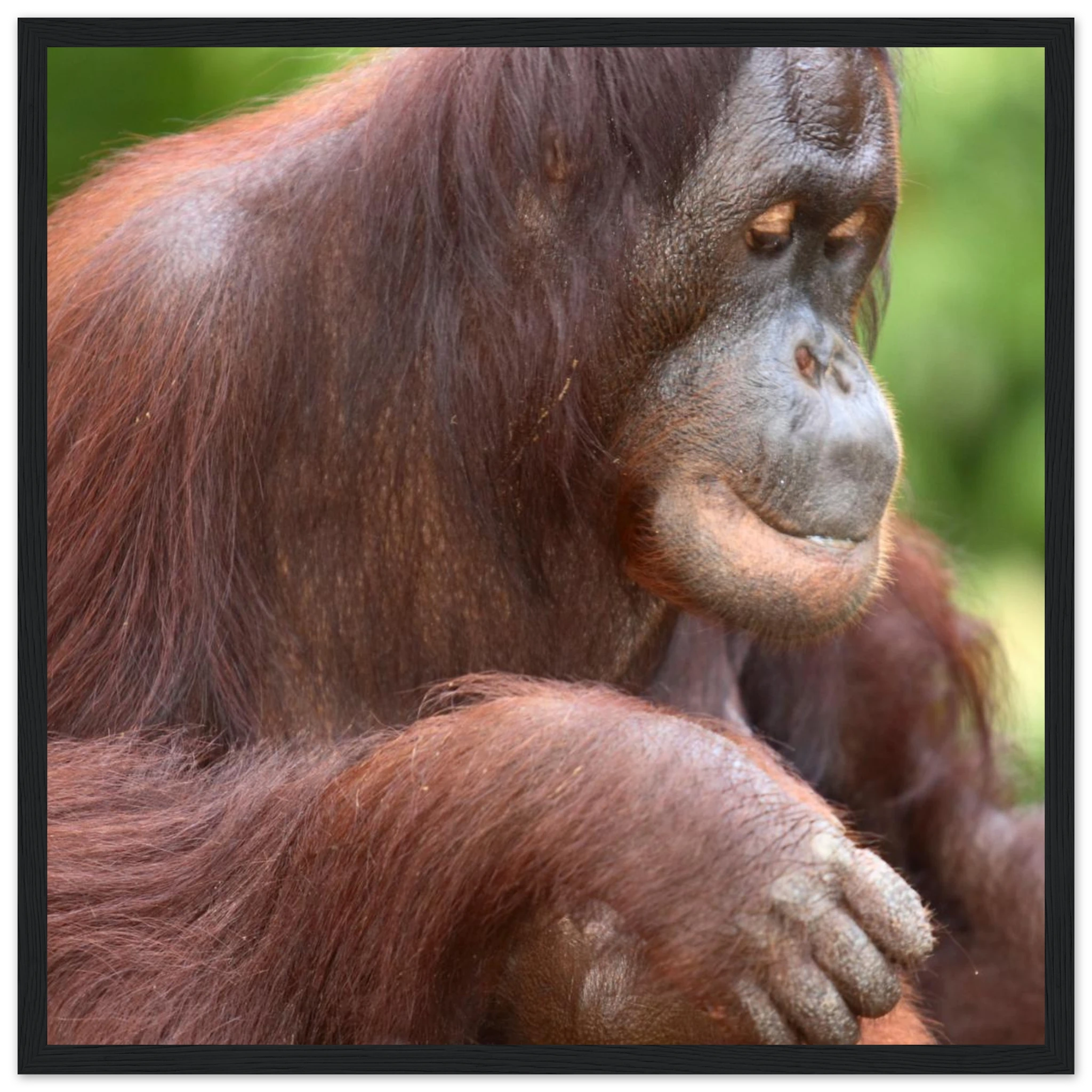 24098a6c-a47f-4f3f-a19a-57cd118f6627