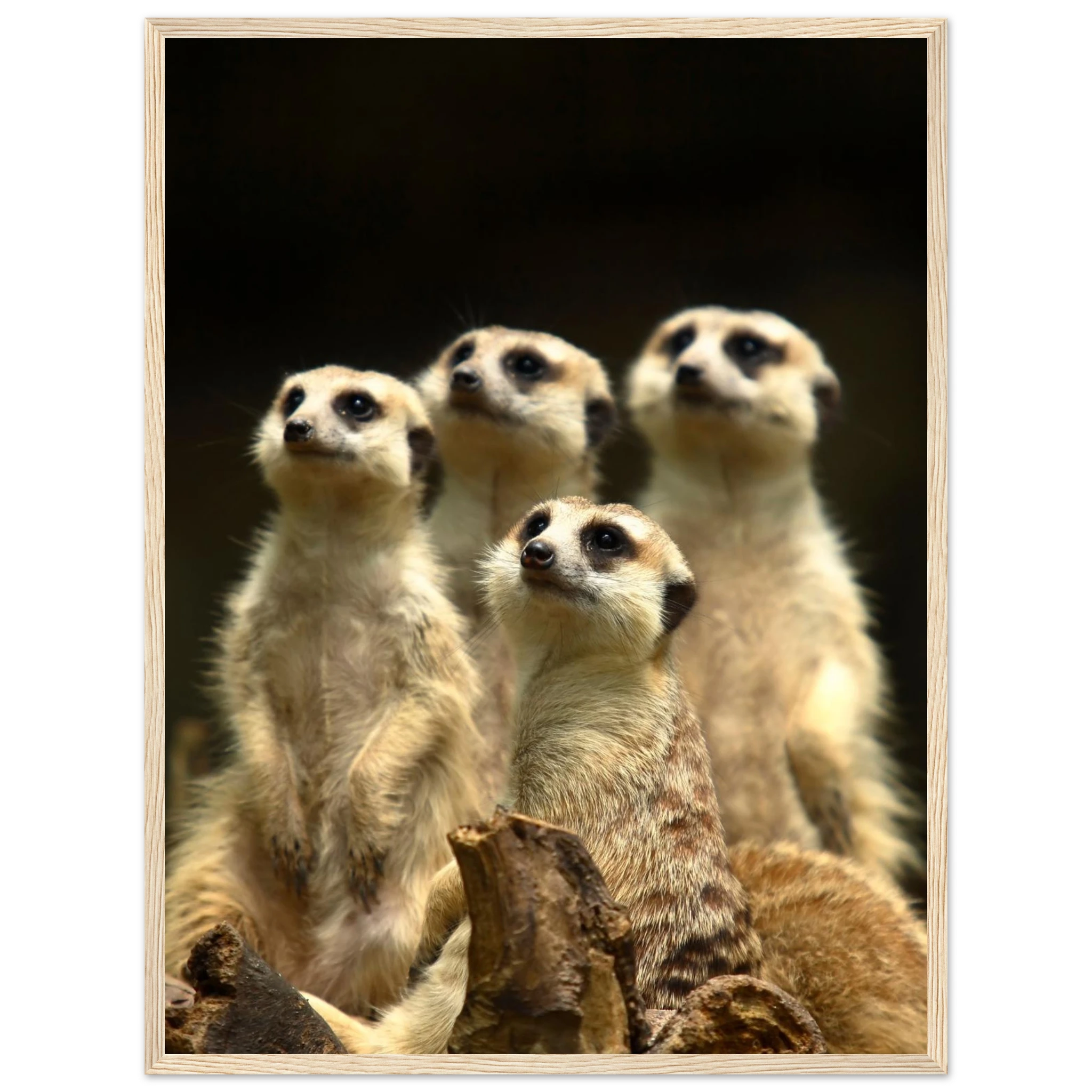 240dffcb-04e4-4bb9-b781-1f91e280f1b3