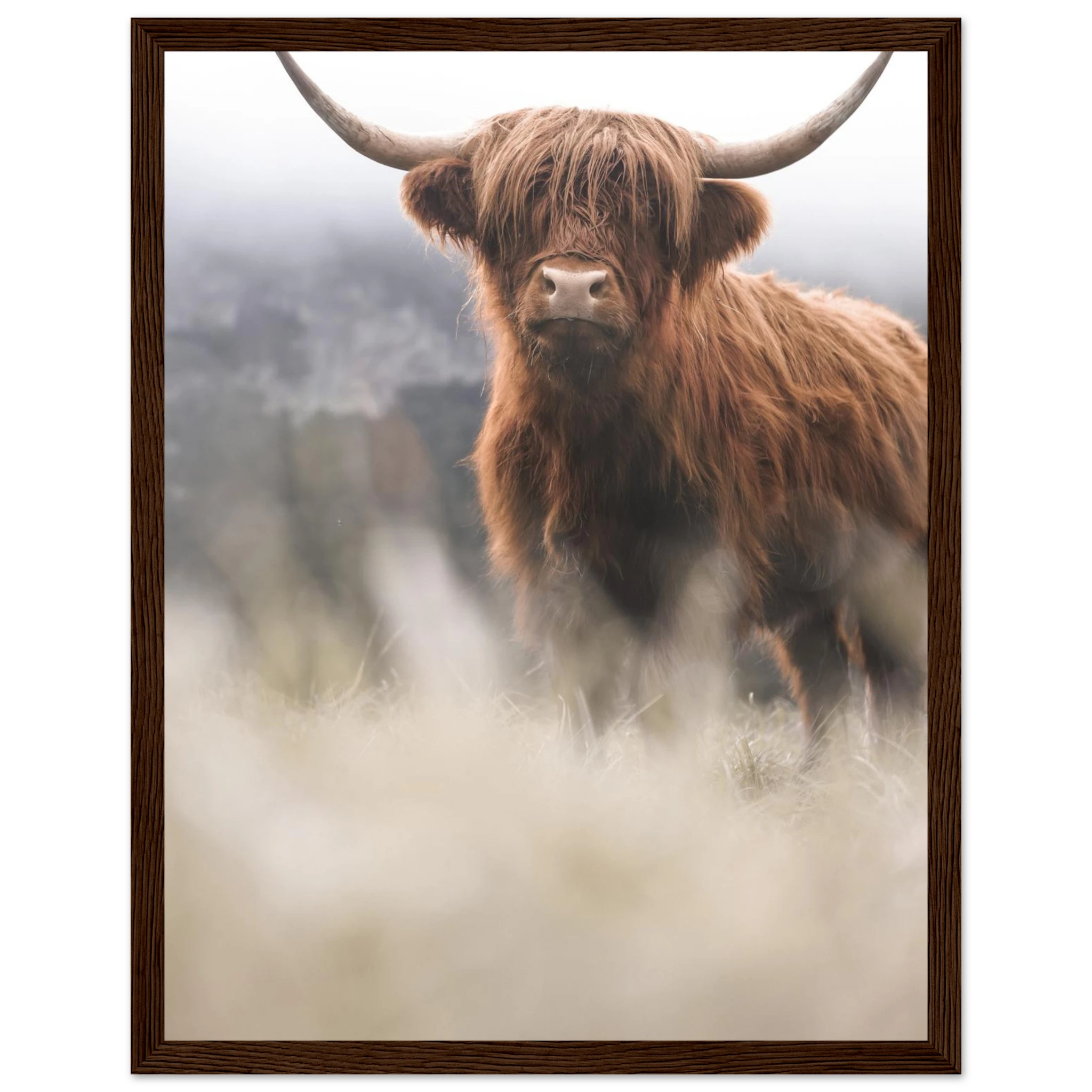 240f6bd2-7a6d-41d7-b3d2-5ad4b3e4a51a